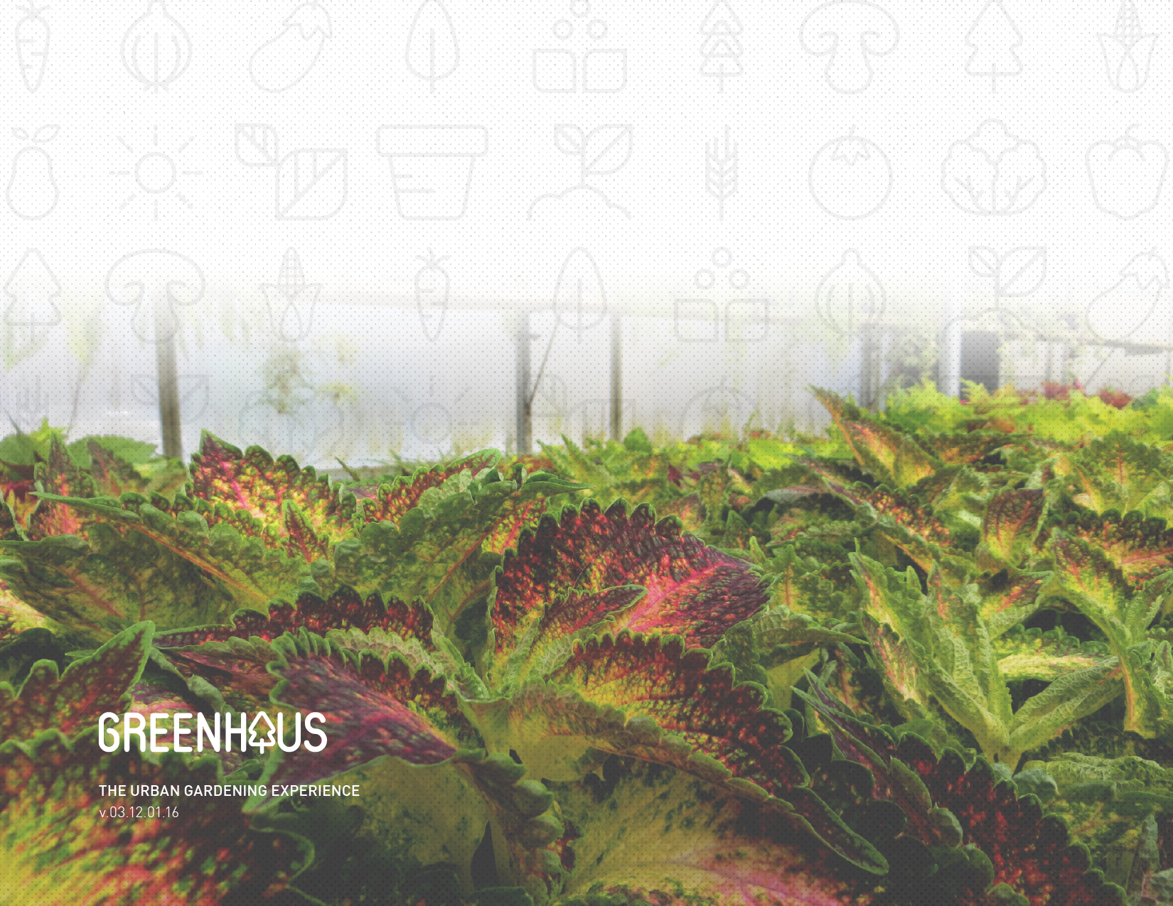 Brand Guidelines-01.png