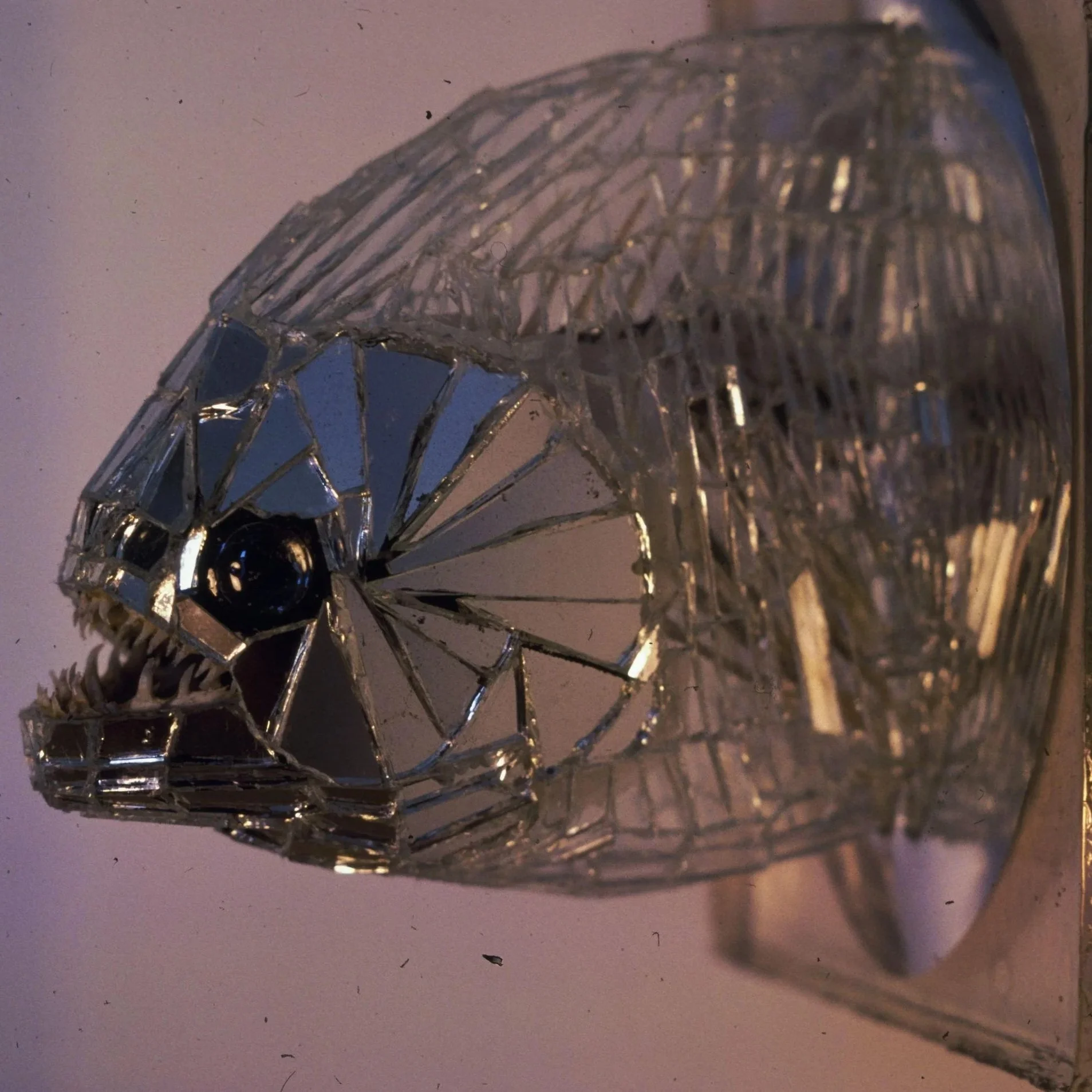 Piranha 1, 1976