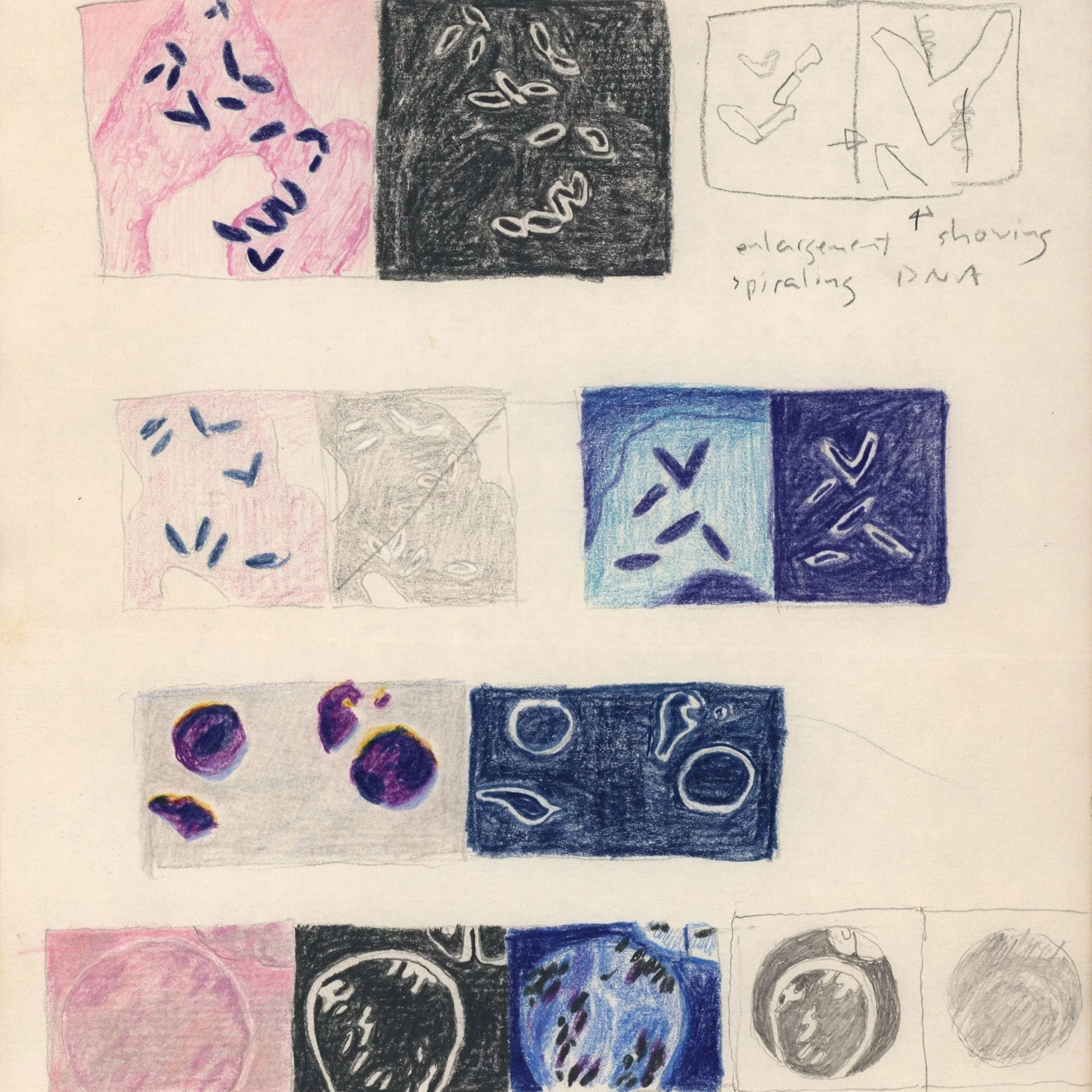 Cells Inspiration &amp; Process, Sketch 4