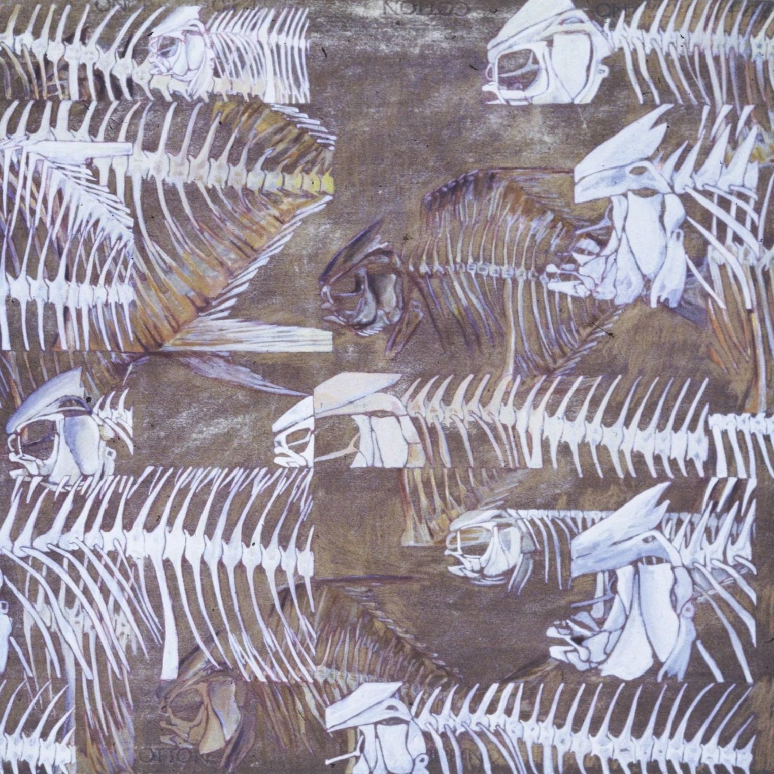 Arrow Skeleton Study, 1977. Watercolor.