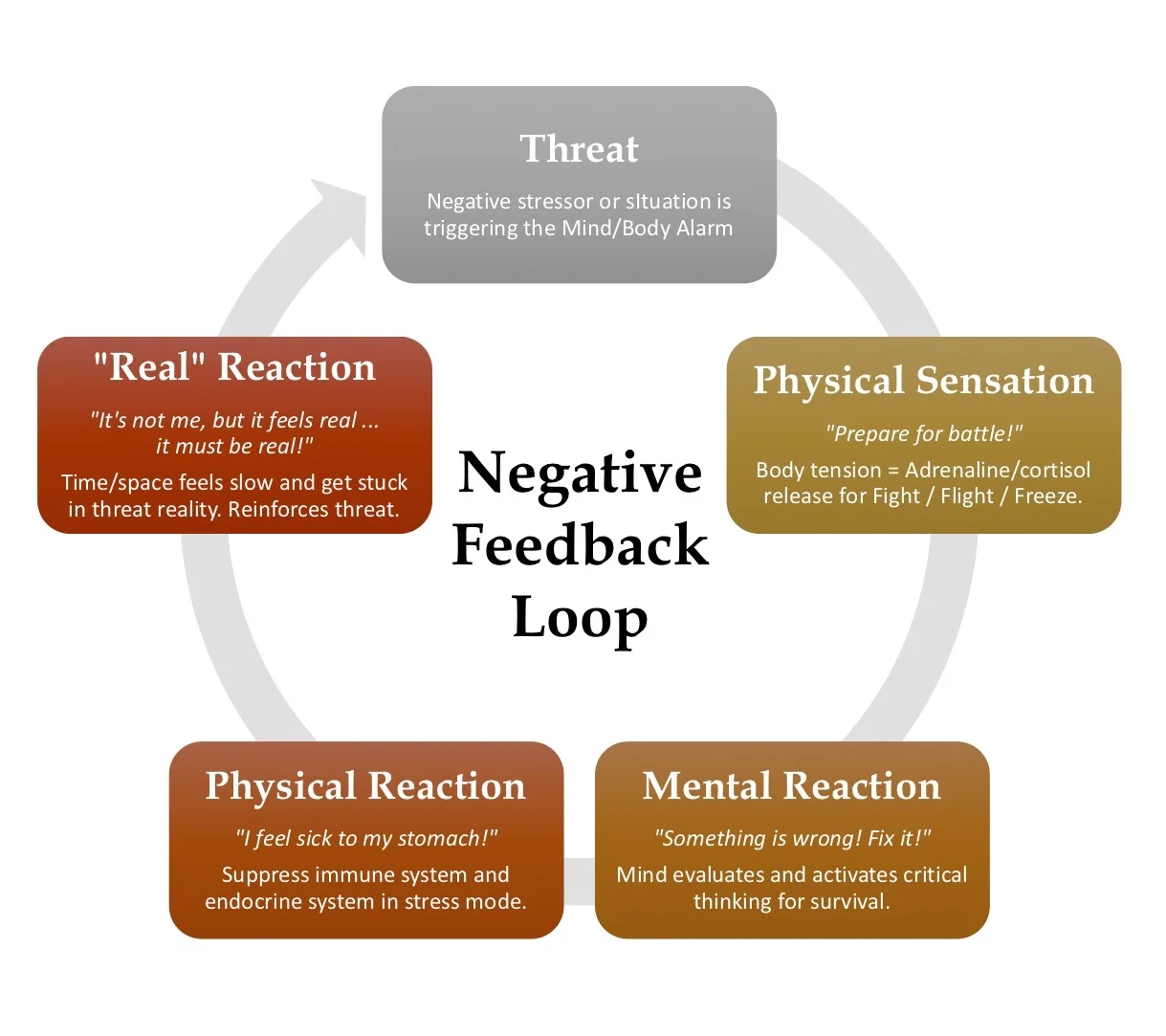 stress loop.jpg