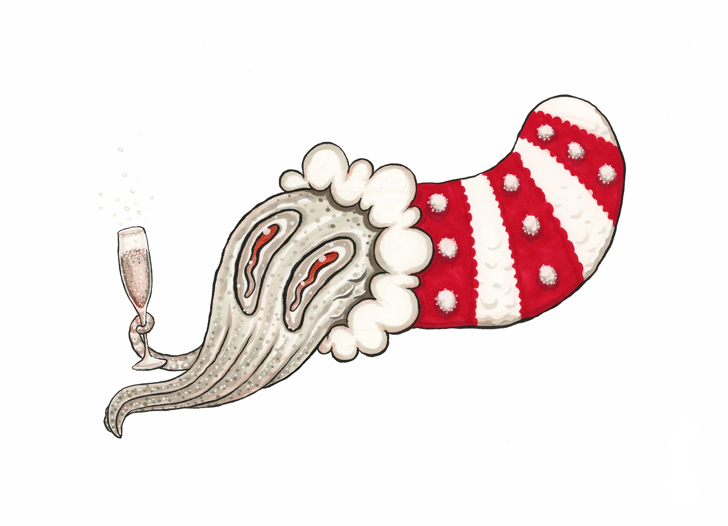 JOLLY STOCKING SQUID WEB.jpg