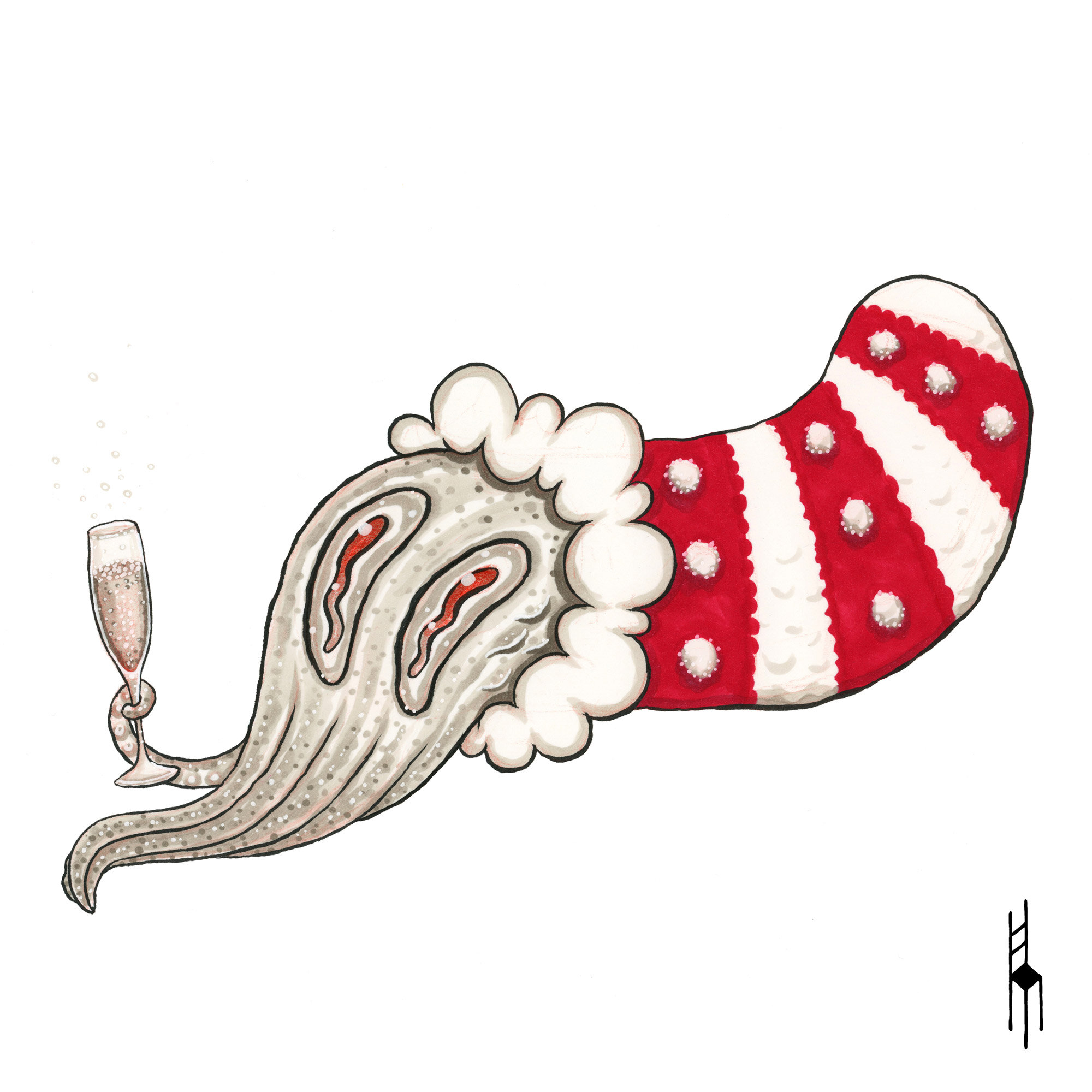 JOLLY-STOCKING-SQUID_SQUARE.jpg
