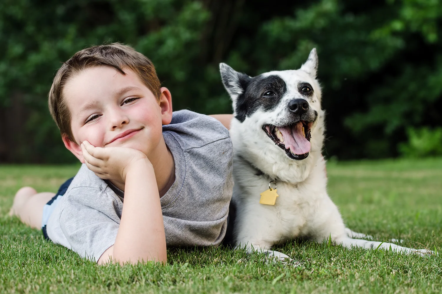 AdobeStock_53363443_web.jpg