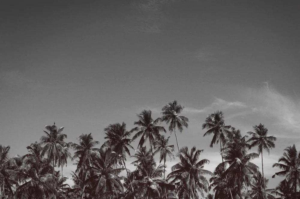 DitlevRosing_SriLanka_01.jpg