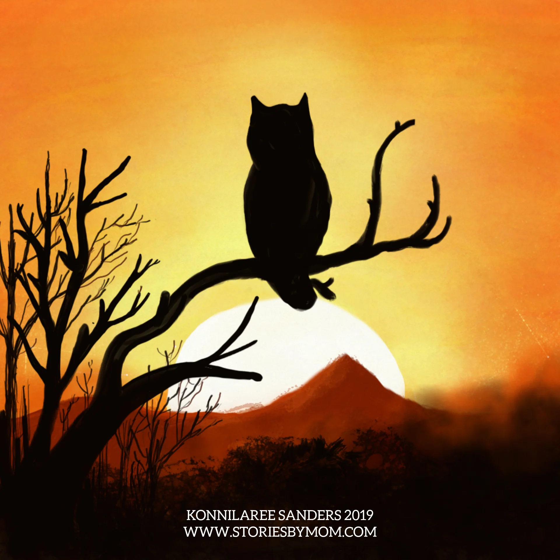 Owl Sunset.jpg