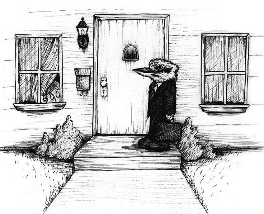 kookaburra.jpg