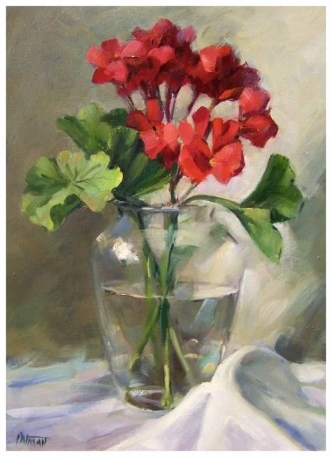 Geraniums