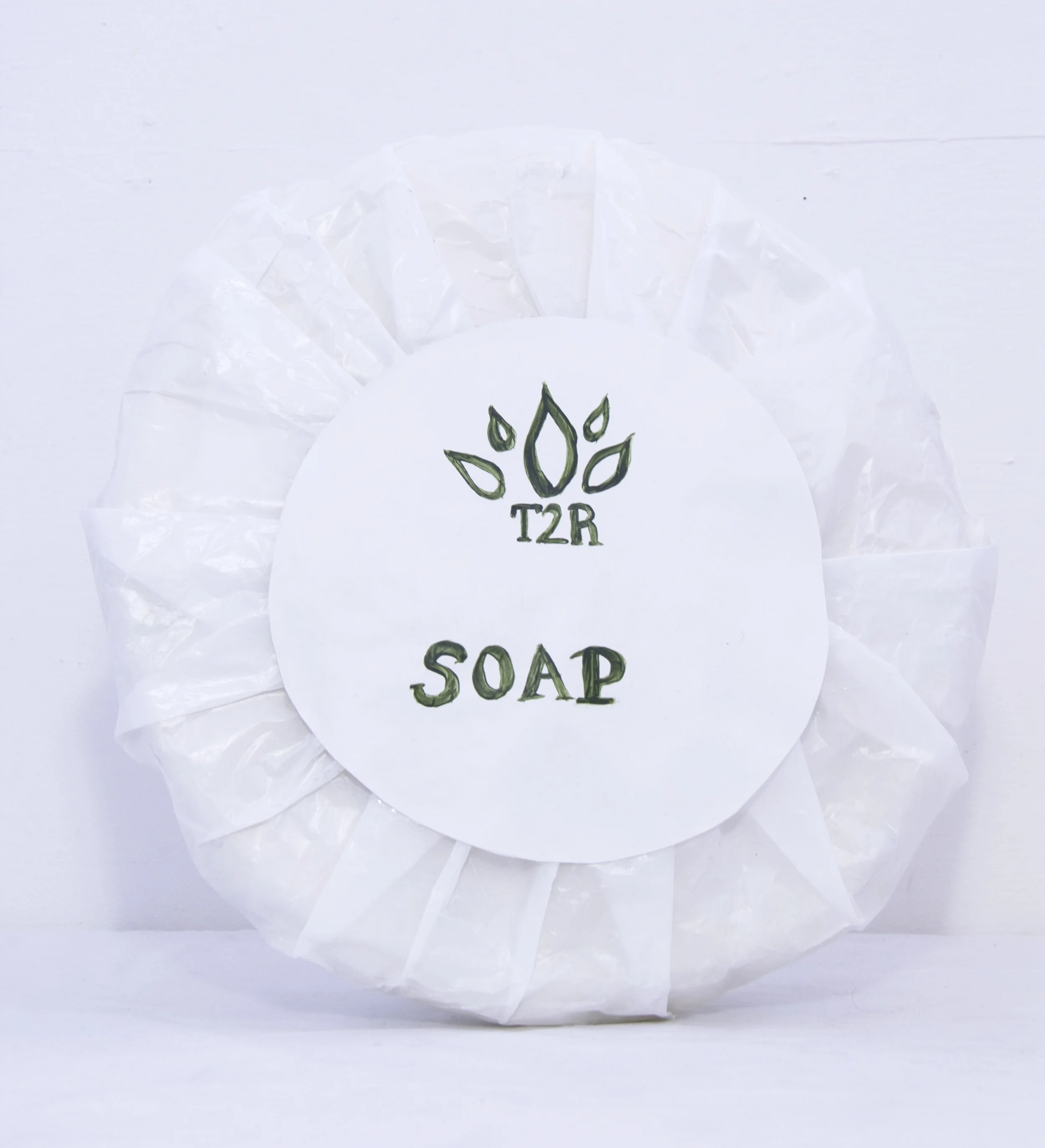 T2R Luxe at The San Francisco Inn, Soap Cardboard, wax paper, acrylic, 2017