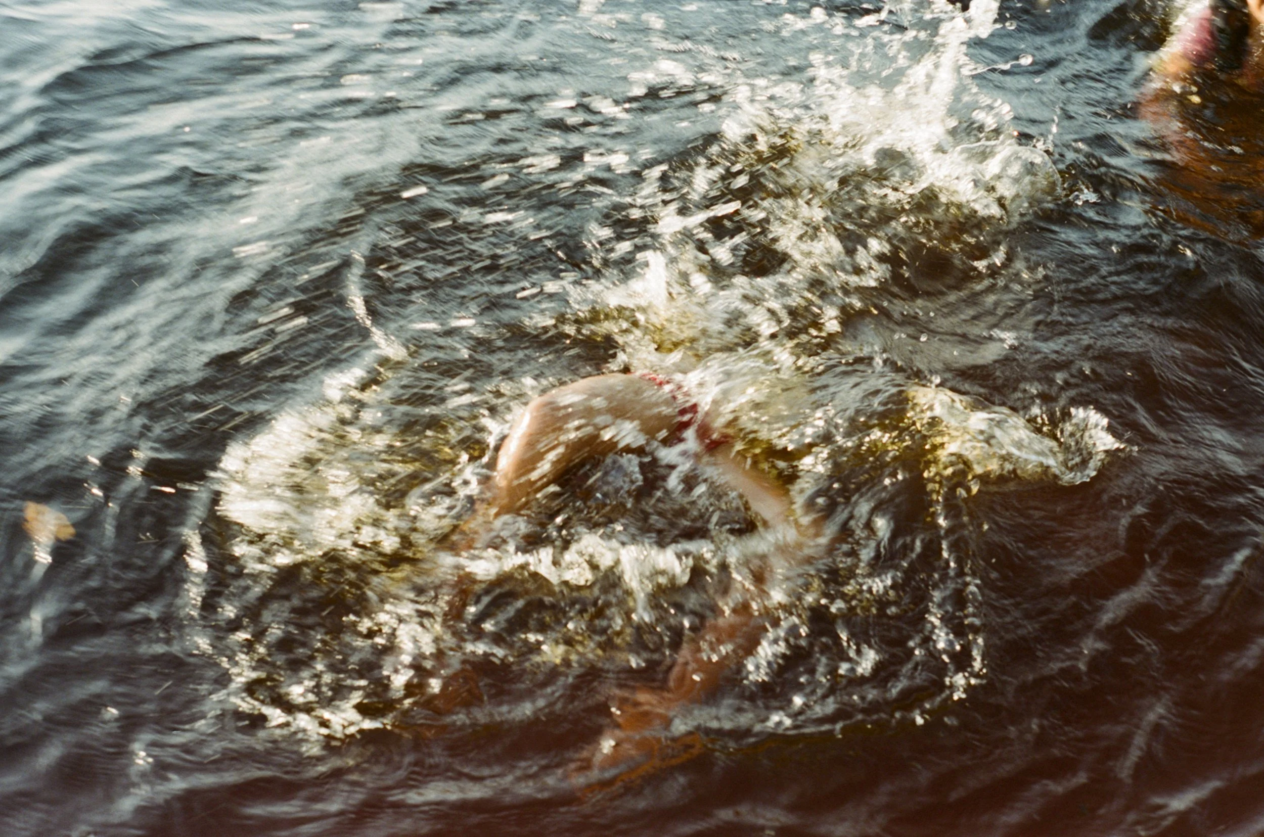 54.jpg