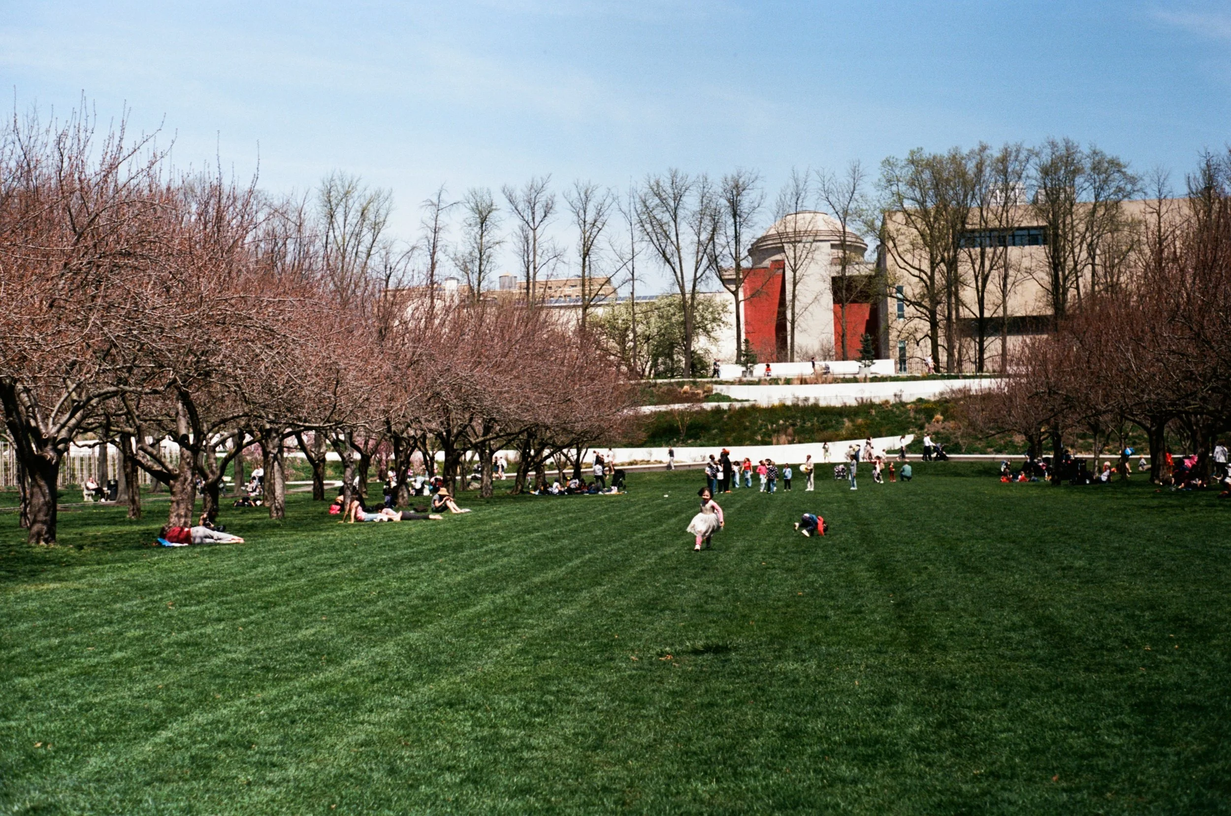 86.jpg