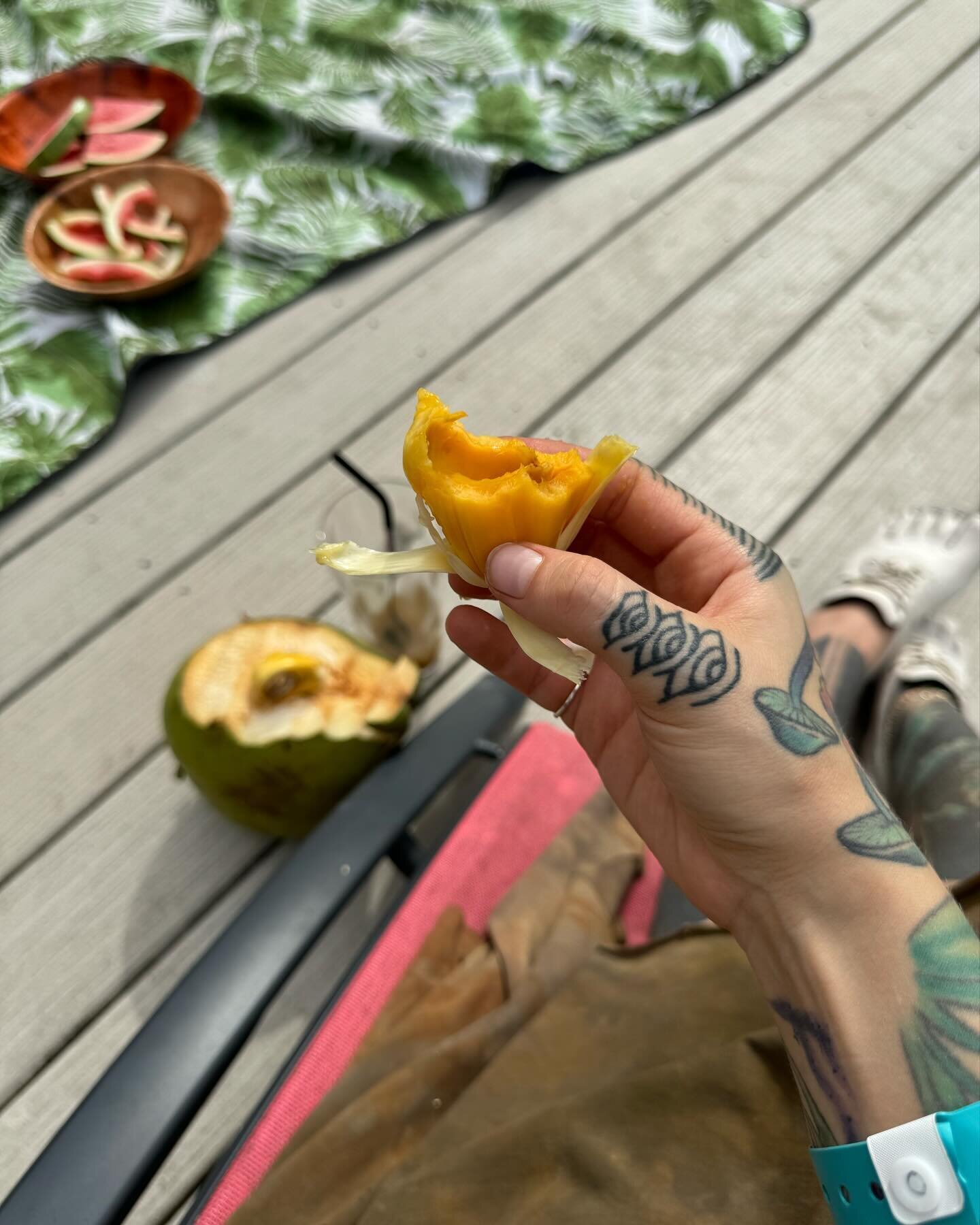@thewoodstockfruitfestival 
First fruit festival , and best jackfruit I&rsquo;ve encountered. Grateful for new connections and fruity friends . @hom_miami is an epic space . 
#fruitarain #frugivore #fruitfestival #thewoodstockfruitfestival #woodstock