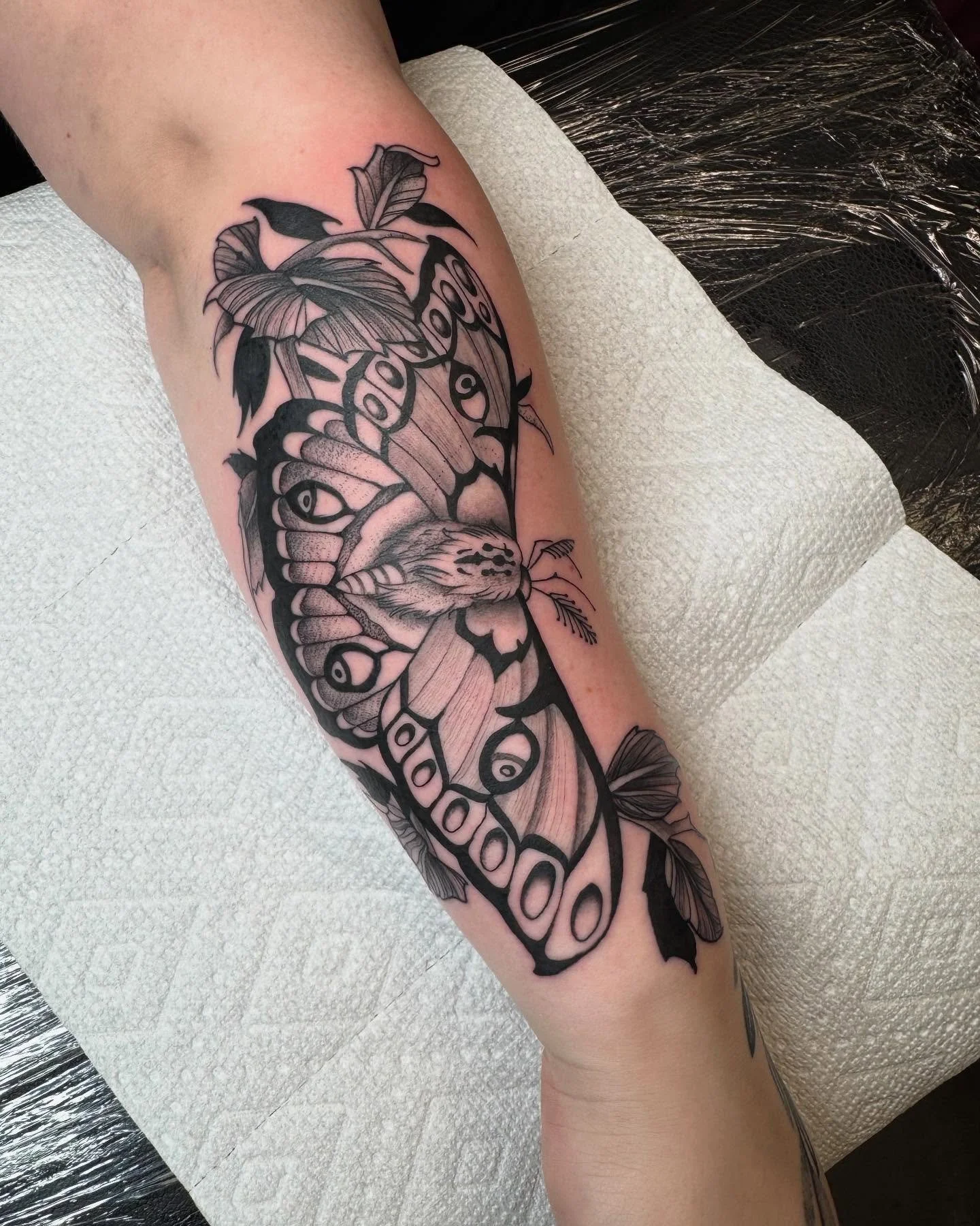 More dark art please 🗡️
&bull; &bull; 
&bull;&bull;
&bull;
&bull;
#darkart #moth #mothtattoo #keishanicoletattoo #keishanicolenouveau #monolithtattoostudio #witchy #mothtattoo #neotraditional #illustrativetattoo