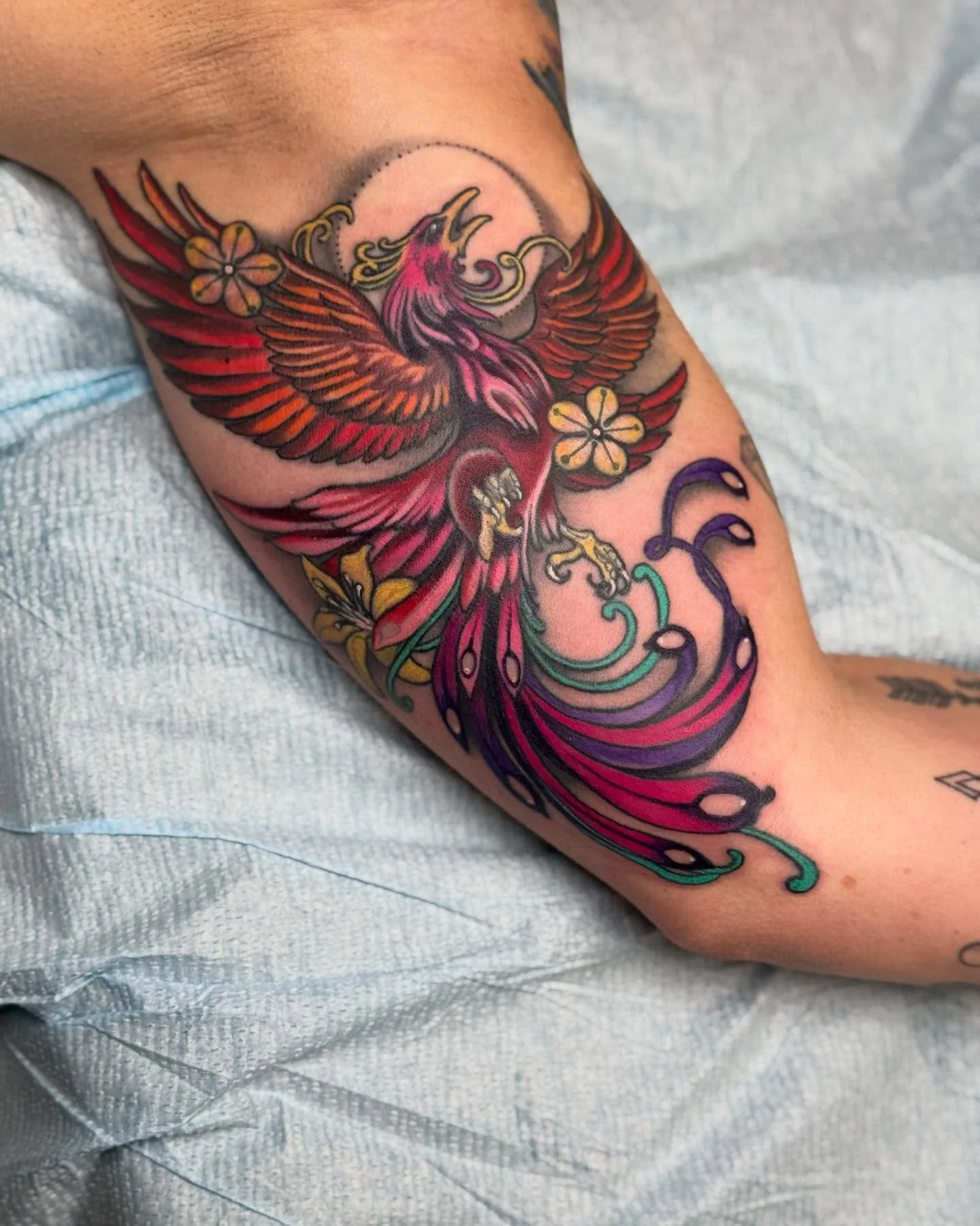 Pheonix 🐦&zwj;🔥
&bull;
&bull;
&bull;
#smol #tattoo #pheonix #pheonixtattoo #birb #birdtattoo #keishanicoletattoo #keishanicolenouveau #neotraditional #neoartnouveau