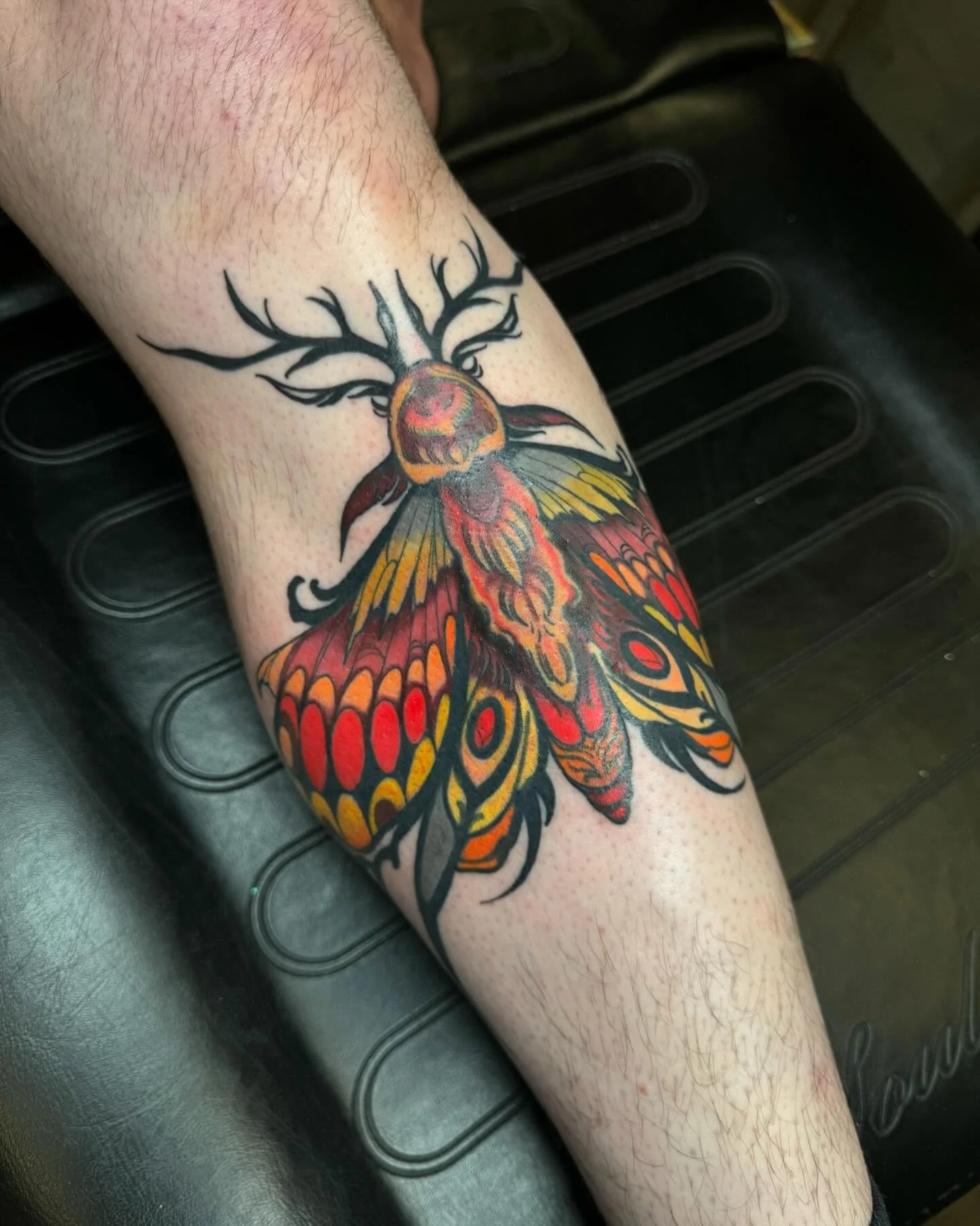 Autumn Moth - hard to get a pic of this one - one of my flashes from 2018 
&bull;
&bull;
&bull;
#moth #mothtattoo #autumn #fall #autumnmoth #fallmoth #neotraditionalartist #neotraditional #neotrad #keishanicoletattoo #keishanicolenouveu #tattoofae #t