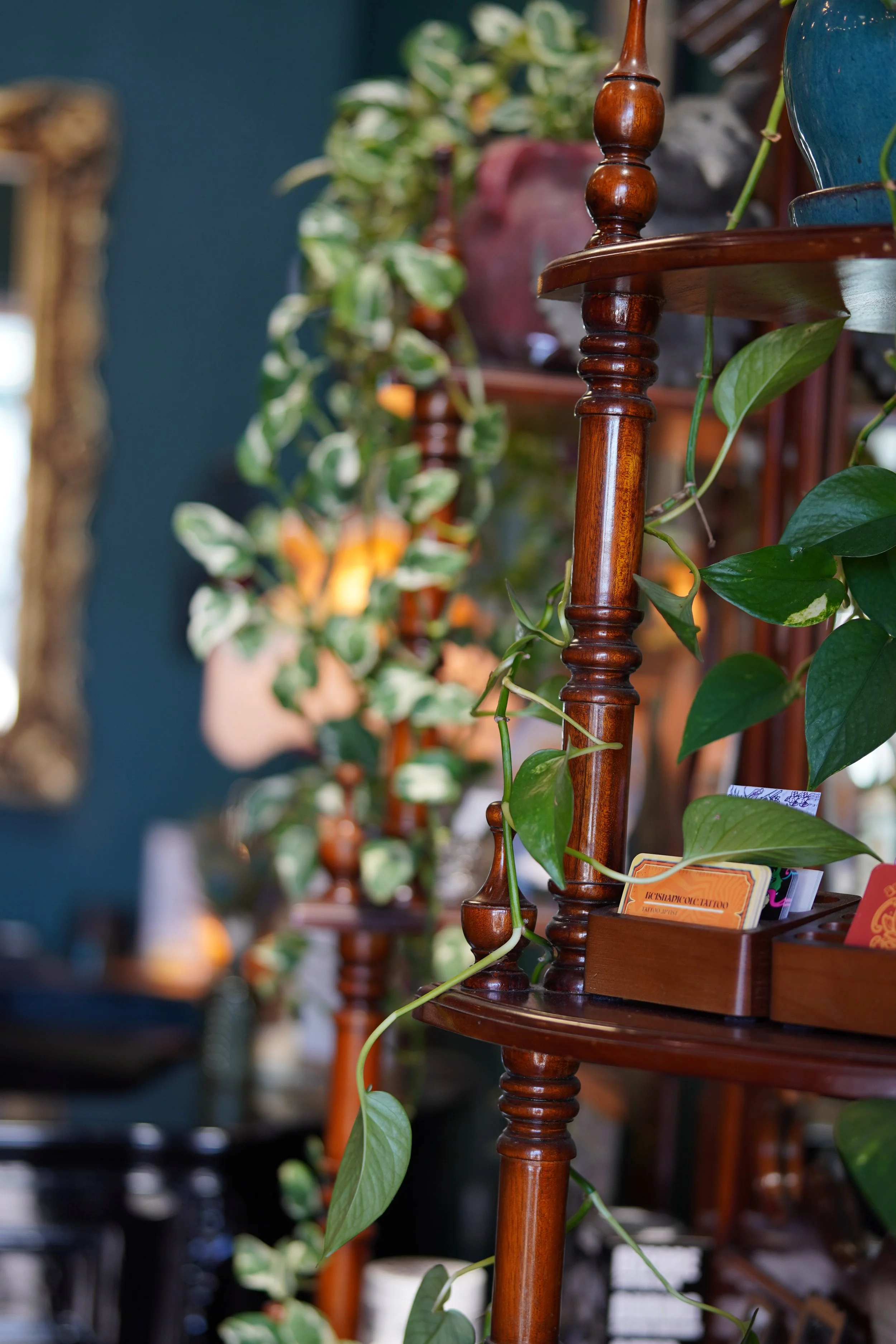 Image of a wooden plant stand with green leaves and potted plants in the background, inside a room with dark blue walls.