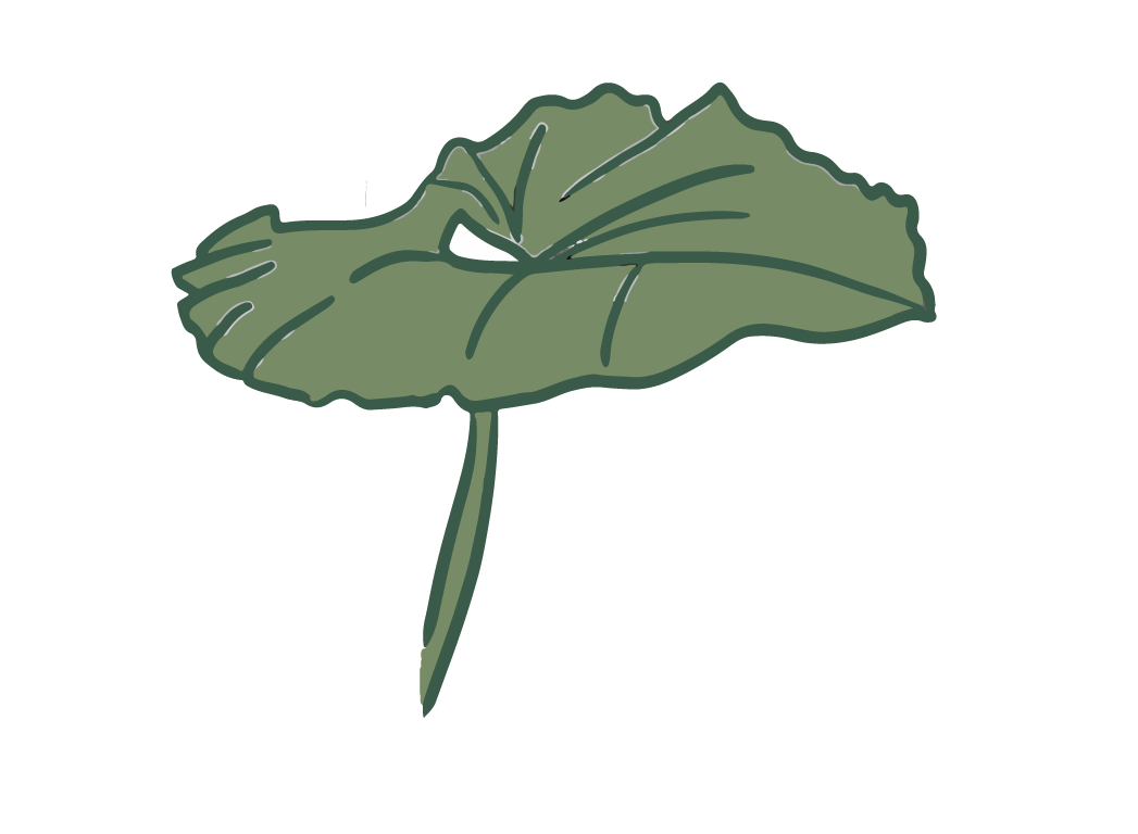 leaf8-01.png