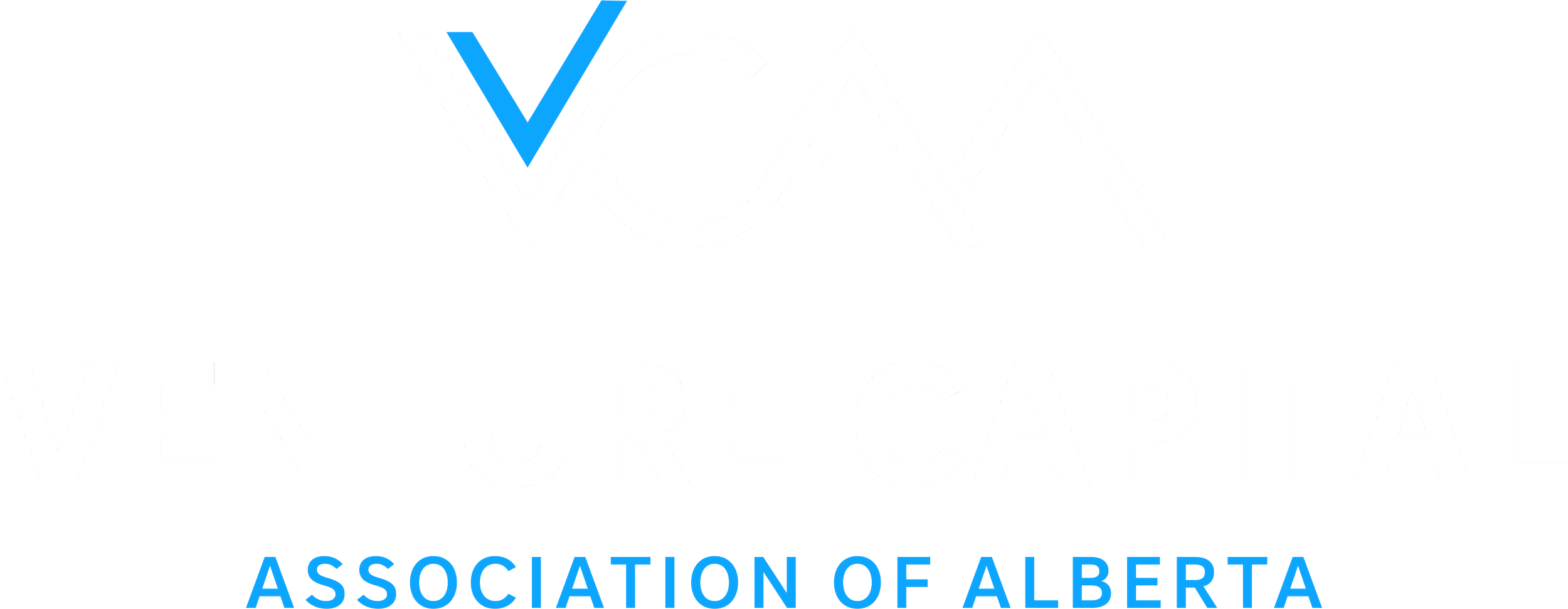 VCAA : Connecting Entrepreneurs and Investors