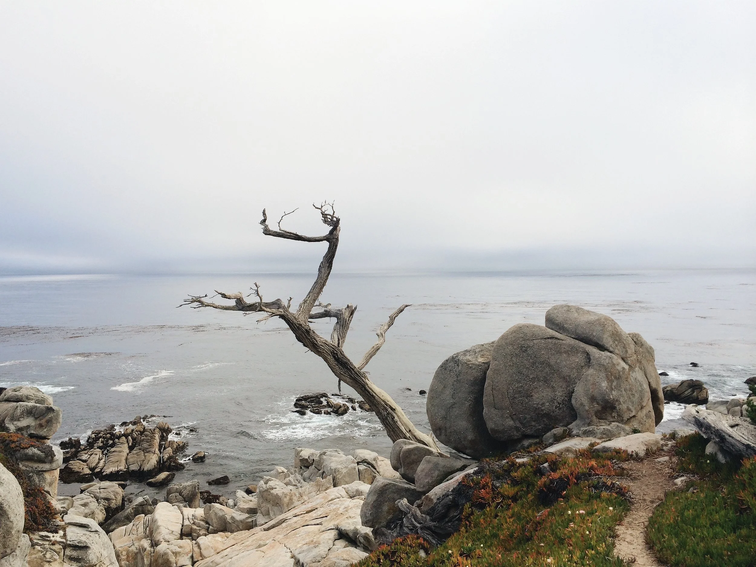 Monterey Motorsports Reunion