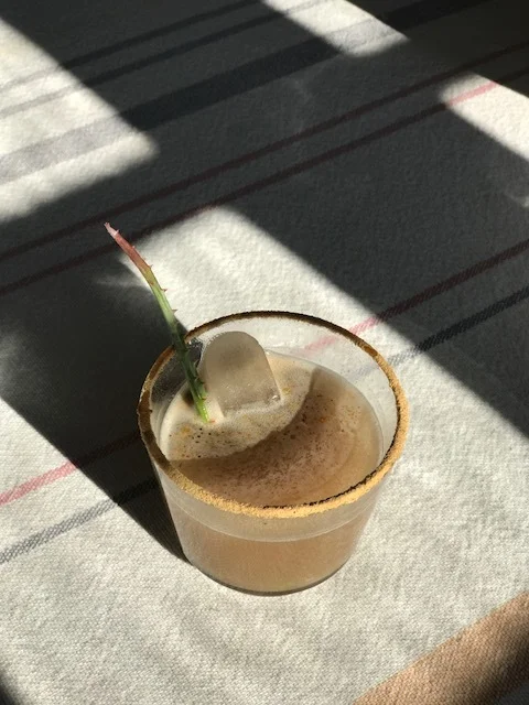 Mesquite Aloe Mezcal