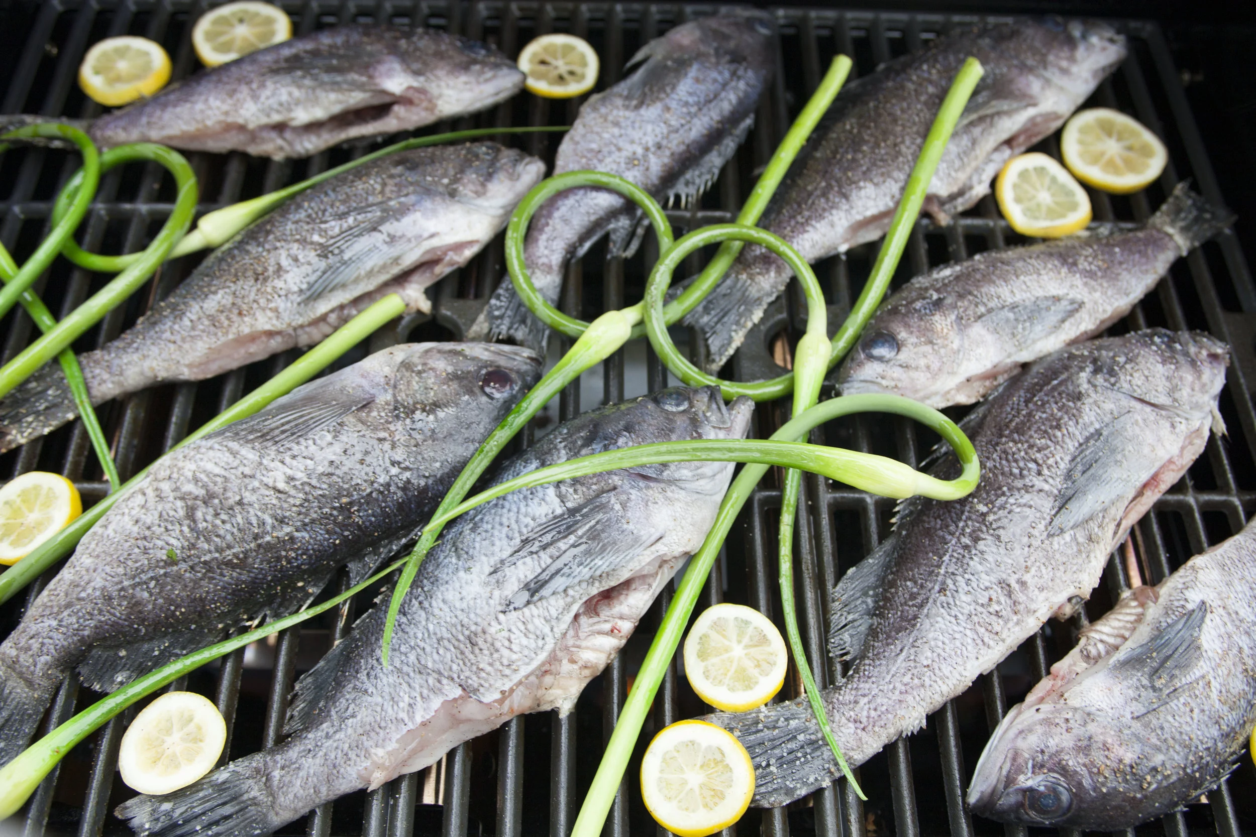 Tiny Atlas Quarterly Retreat