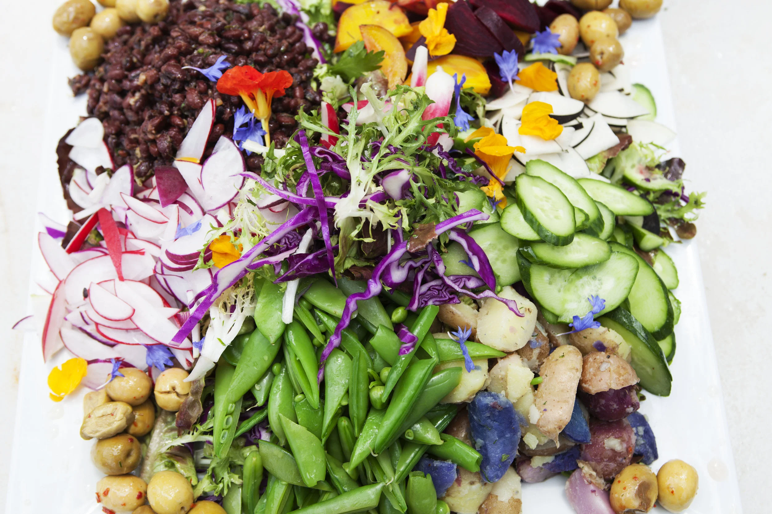 Tiny Atlas Quarterly Retreat