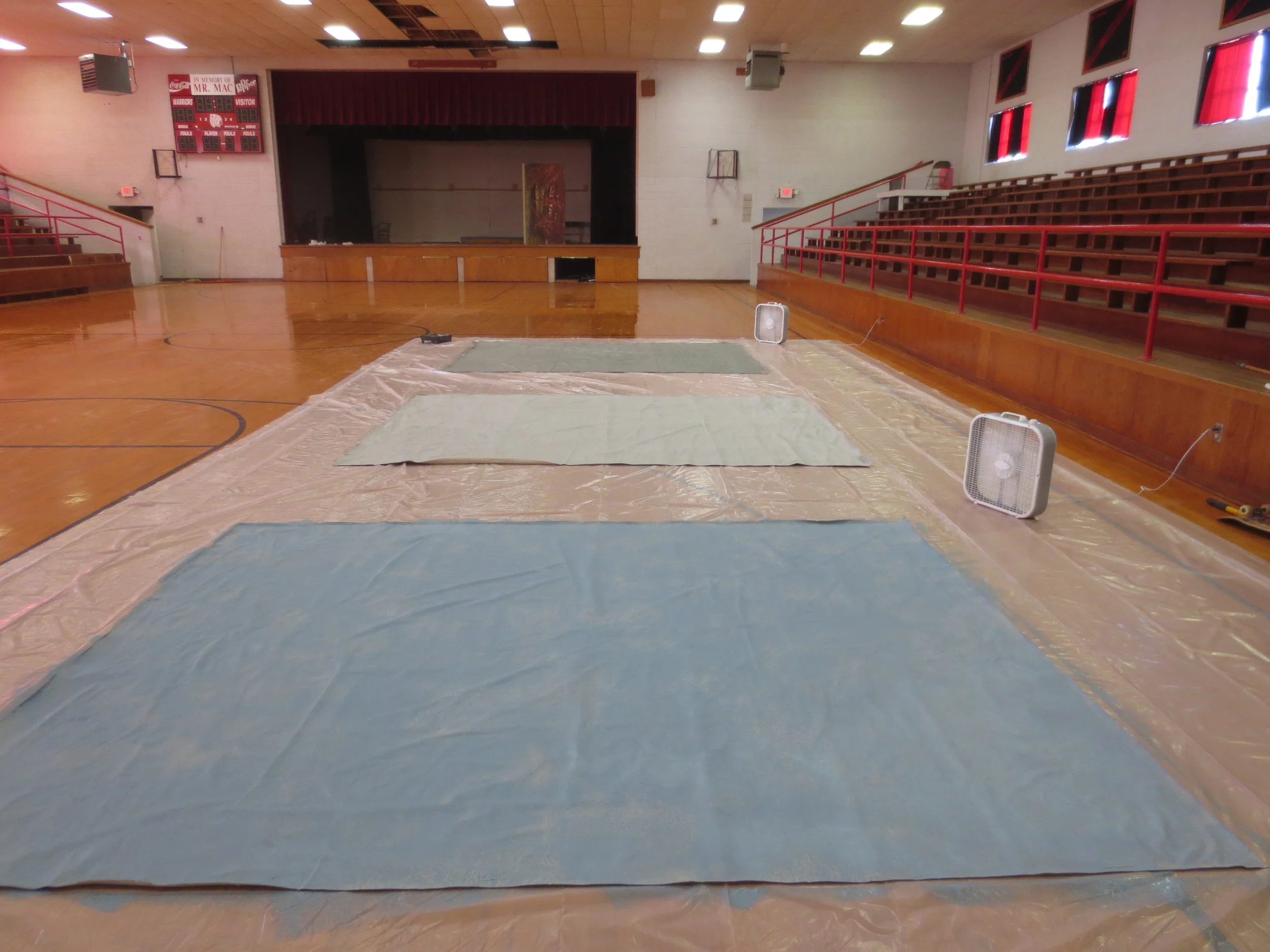  WILDLIFE (2018) DIR: PAUL DANO, PAINTED PHOTO STUDIO BACKDROPS 