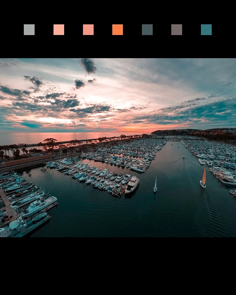 DP_Harbor_Last.jpg