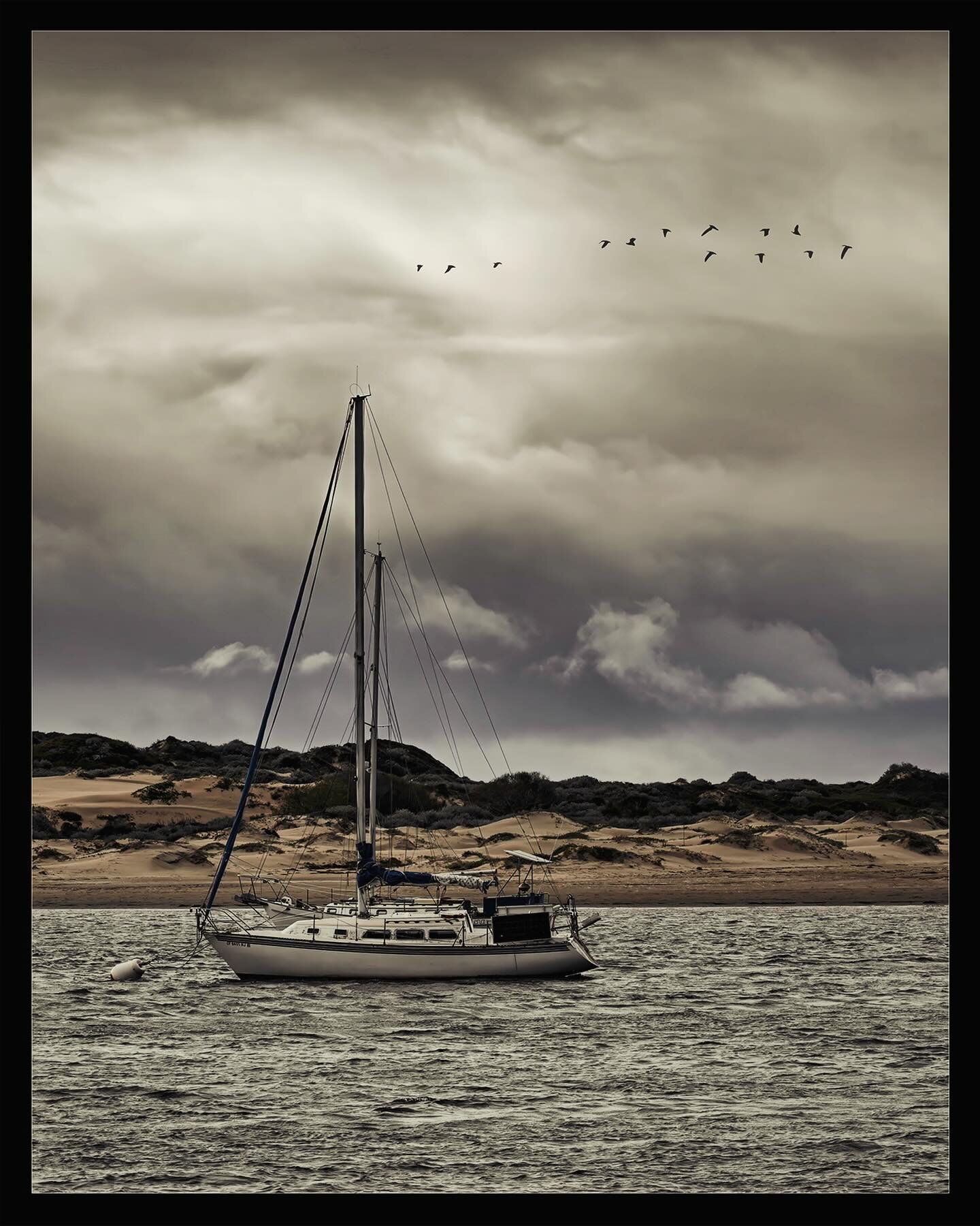 A shift in the tide! An easy way to tell if the tide is coming in or going out at Morro Bay is to just look at the moored sailboats and the direction they&rsquo;re facing! This picture was taken on Friday, March 1, 2024. The tide was going out! | #mo