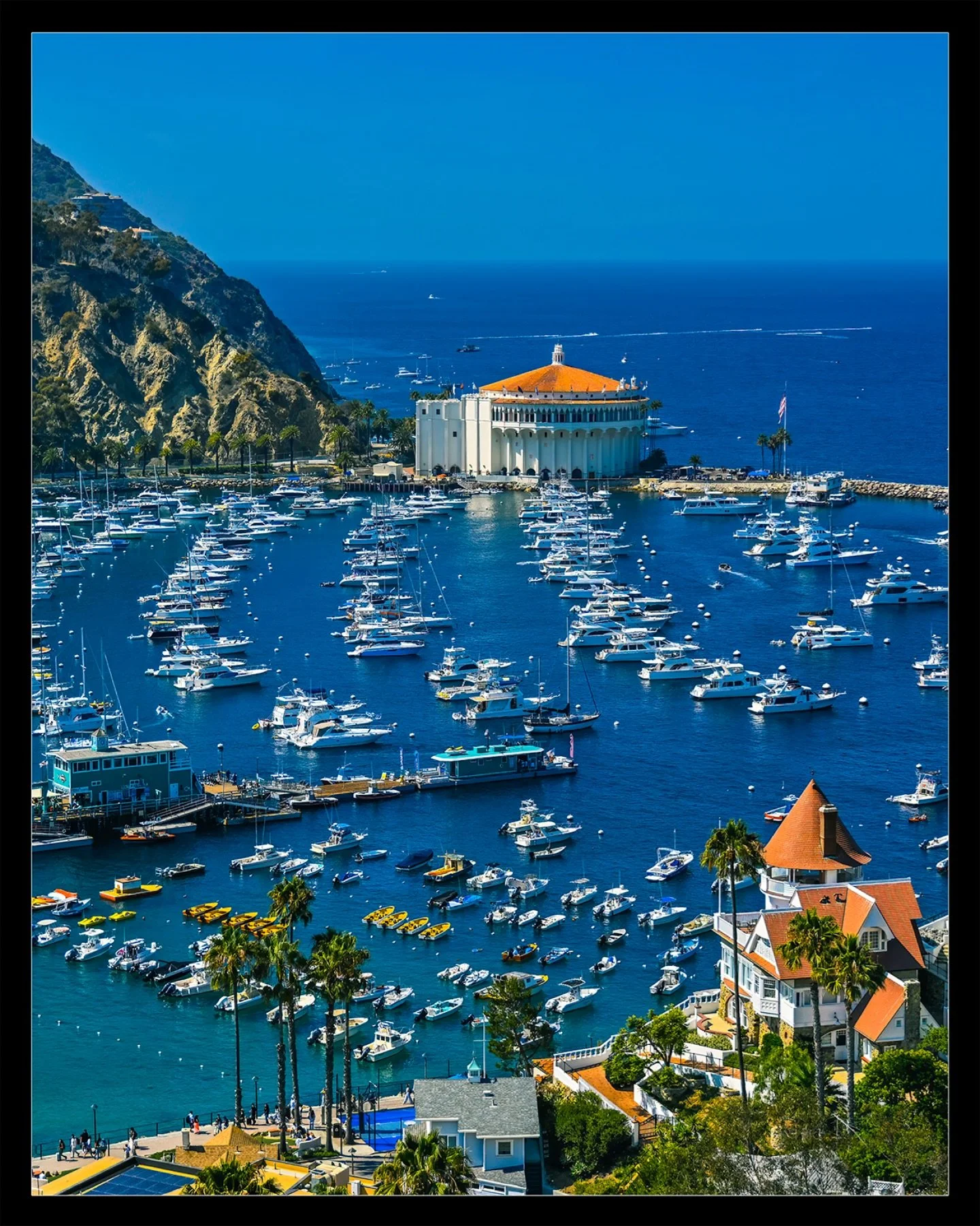 Beautiful Avalon Harbor at Catalina Island! | #islandvibes What are you doing this Summer?
Nikon Z7II | Nikon 28-400 | @urth polarized 
#catalinaisland #catalina #avalon #catalinawinemixer #islandlife🌴 #nikonusa #catalinaexpress #catalinaflyer #be