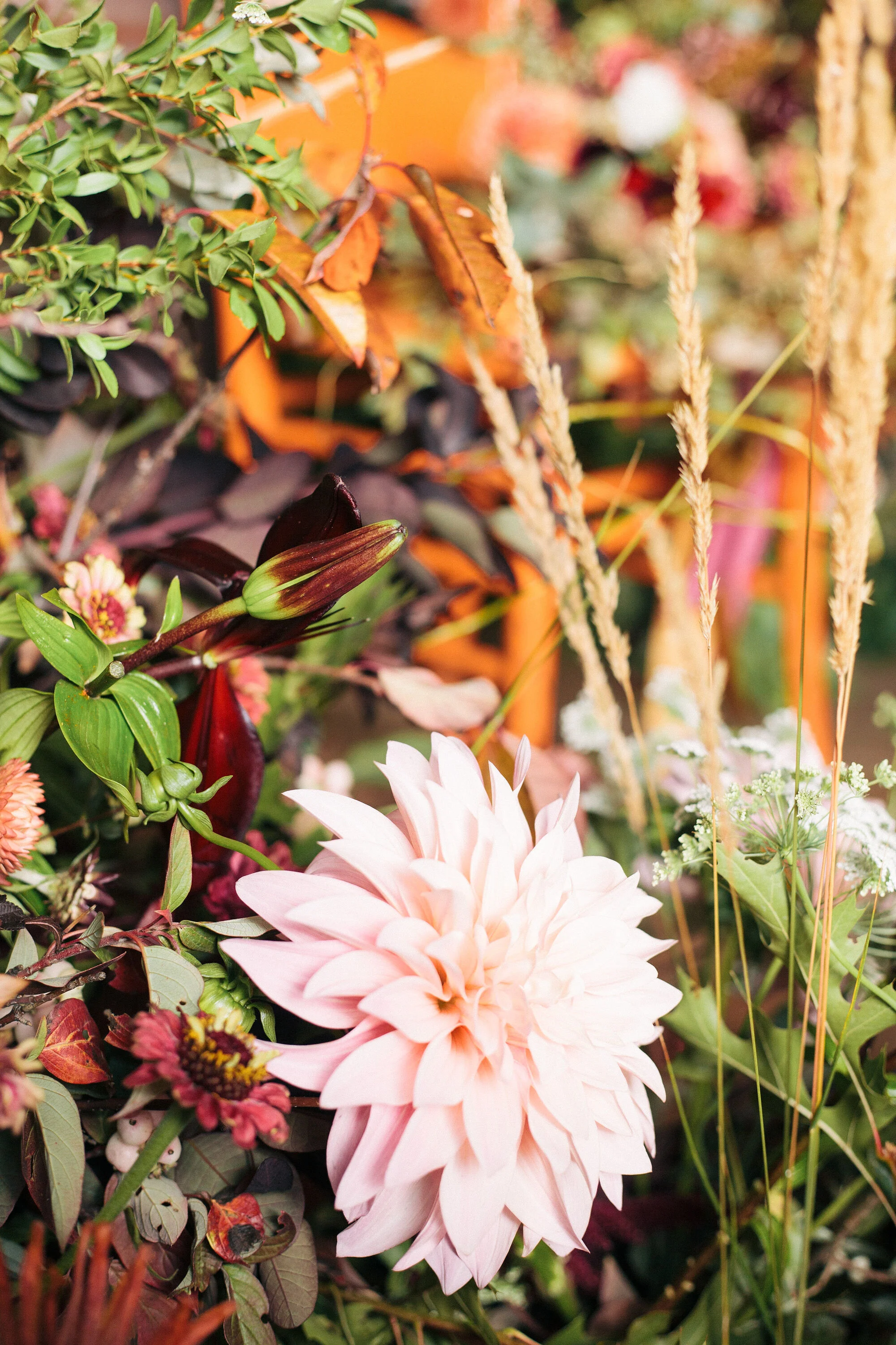 Flowers-228.jpg