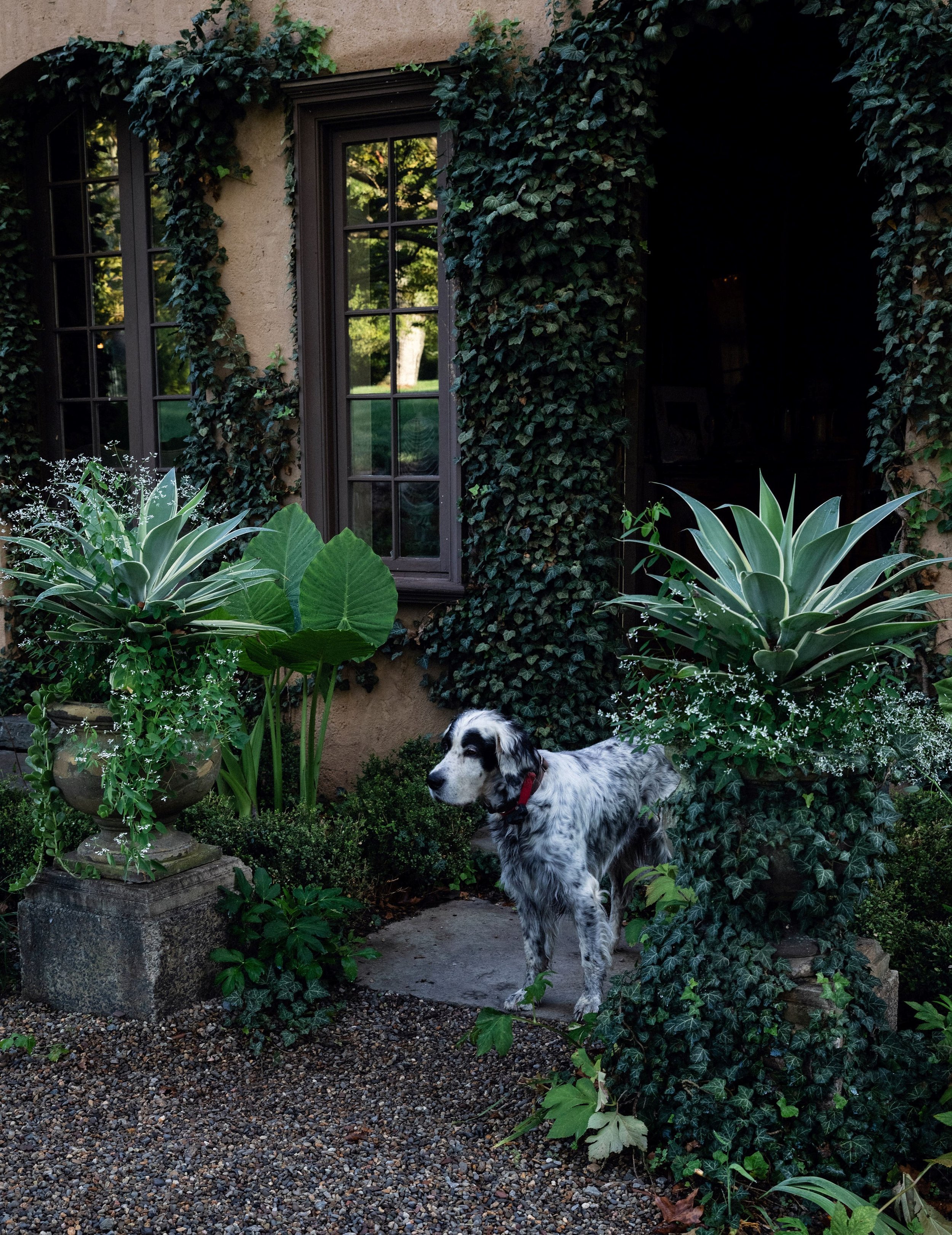 Jardin 5.jpg
