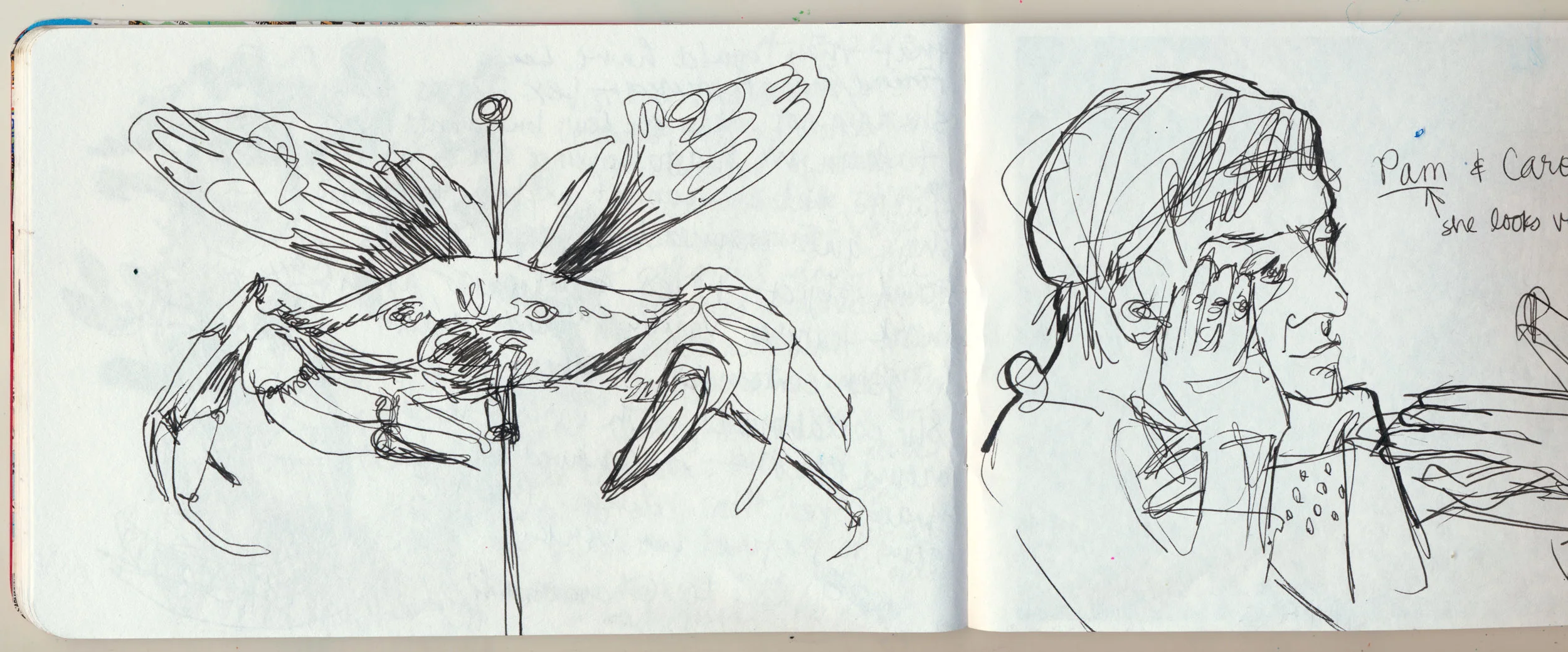 Paris Sketchbook
