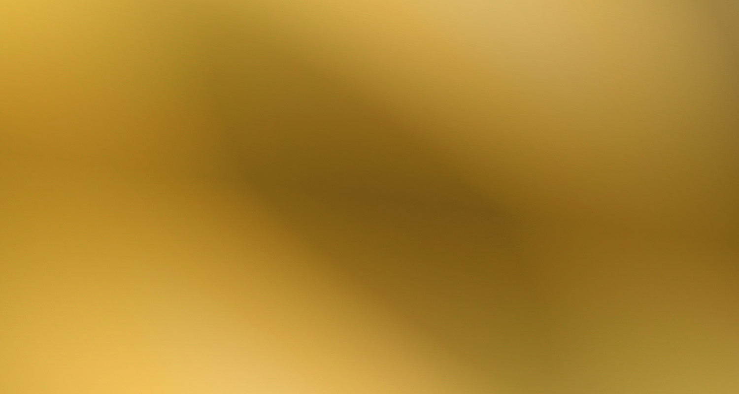 GL BG_1.jpg