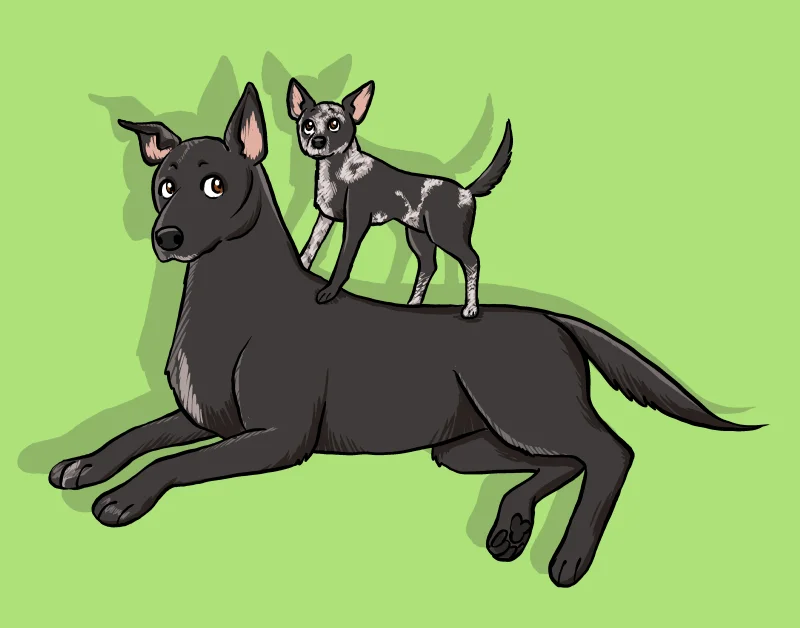 Cody and Kicker