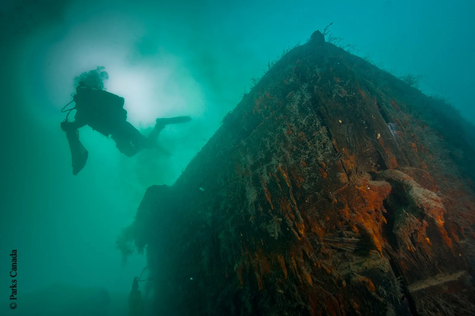 The bow of the Investigator in 2011. Image from Parks Canada.