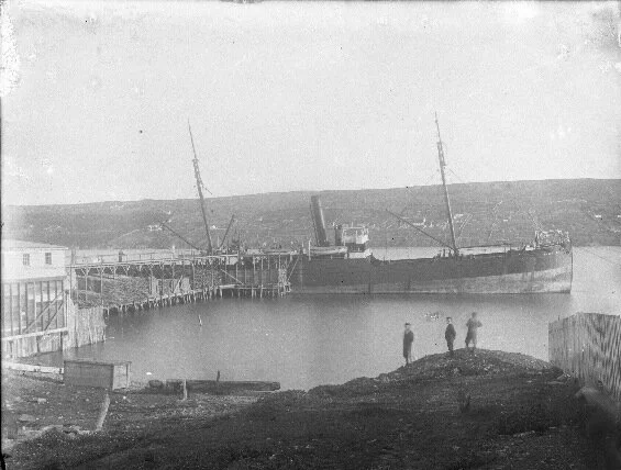 Over the Waves: SS Regulus</em></span>