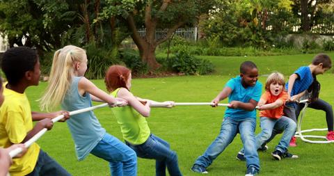 tugofwar_large.jpg