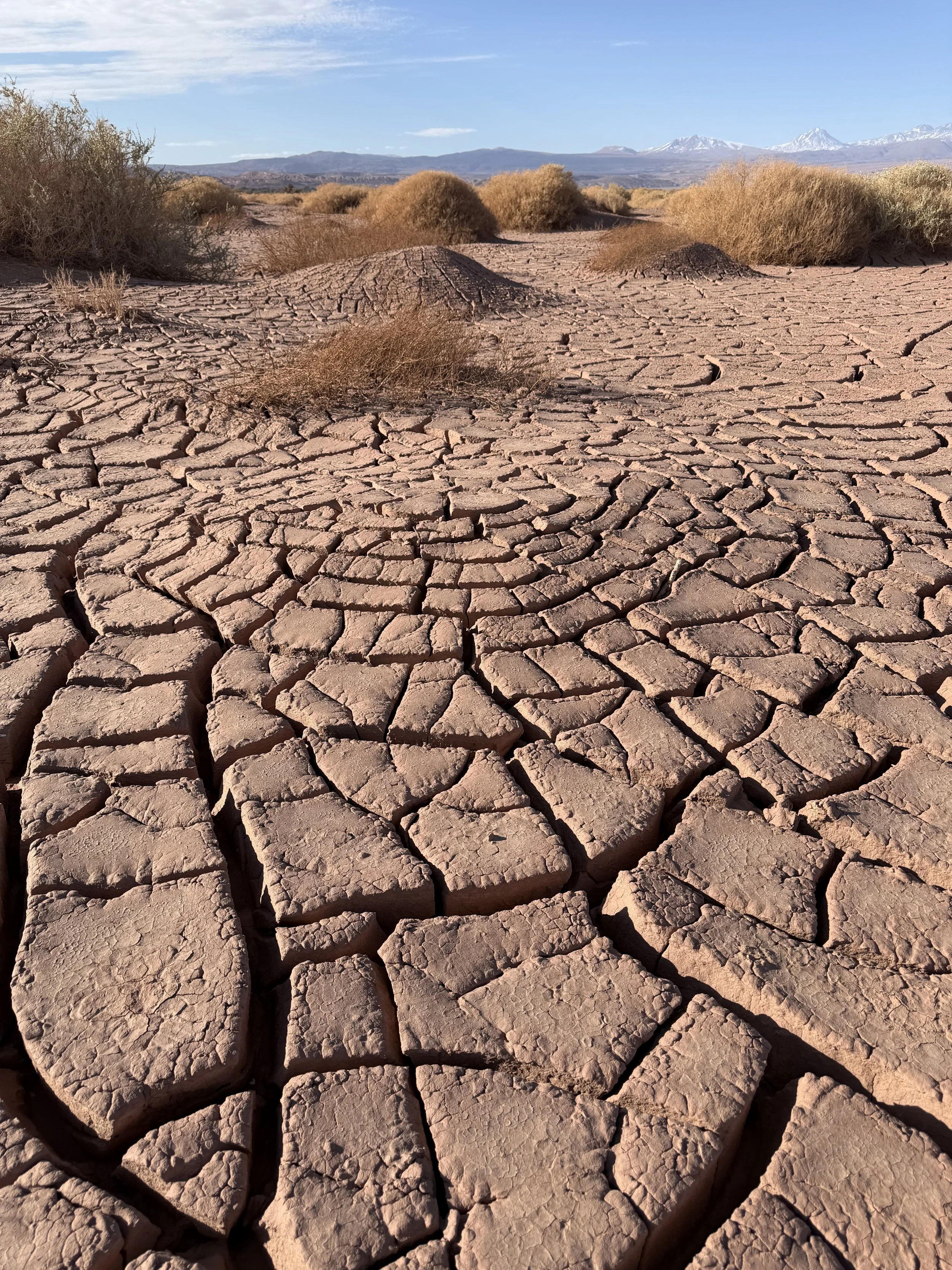 Explora Atacama: A Scouting Trip to the Driest Desert on Earth