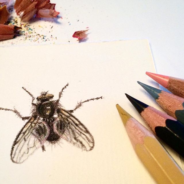 #einádag Close up small drawing