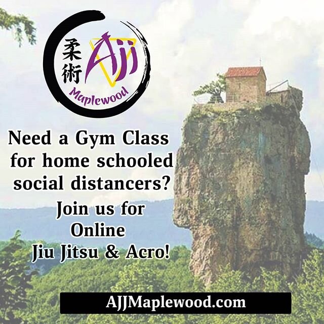 American Jiu Jitsu of Maplewood
Online classes start tonight!
By Grade
K-2nd  6:30pm-7:00pm
3rd-8th 7:00pm- 7:45pm
Adults.  8:30pm-9:15pm