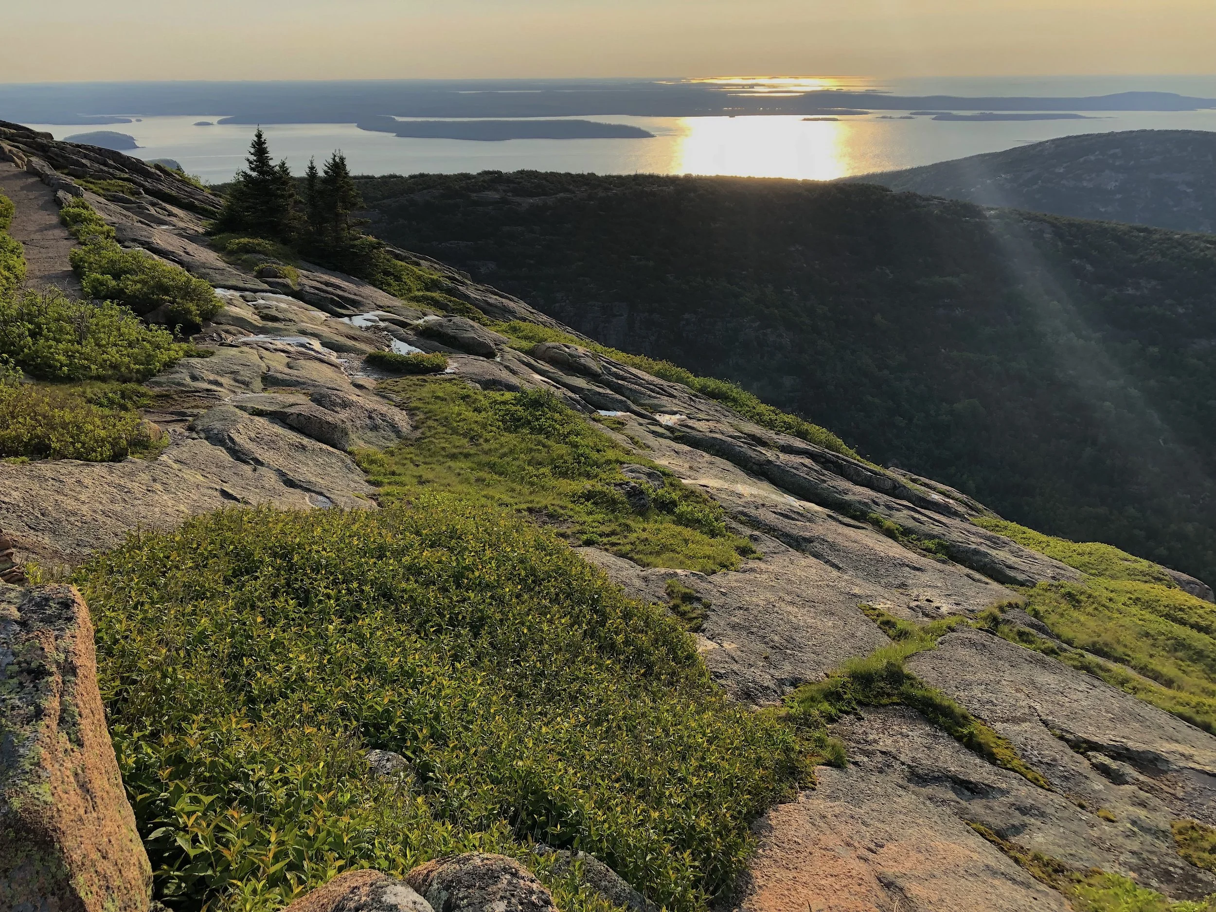 Early morning sun on Cadillac Mountain (Acadia National Park)