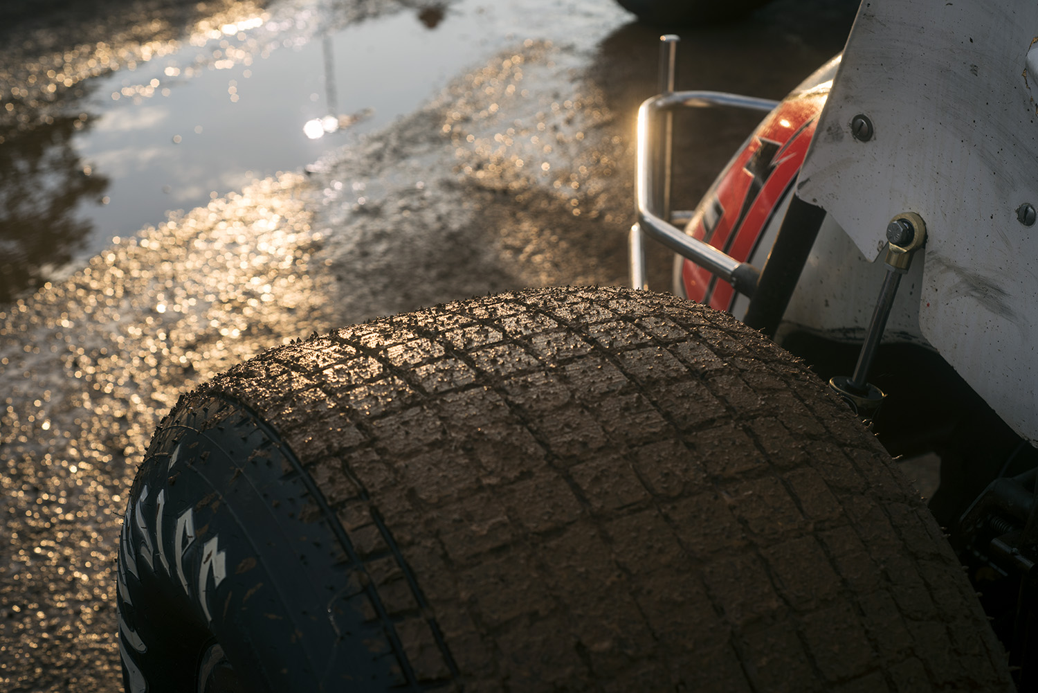 51_williamsgrove.jpg