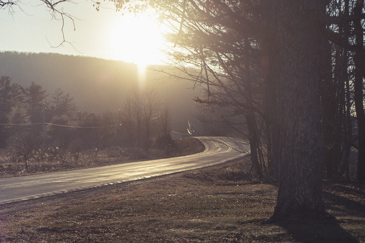 Bloomville_Road_D3X.jpg