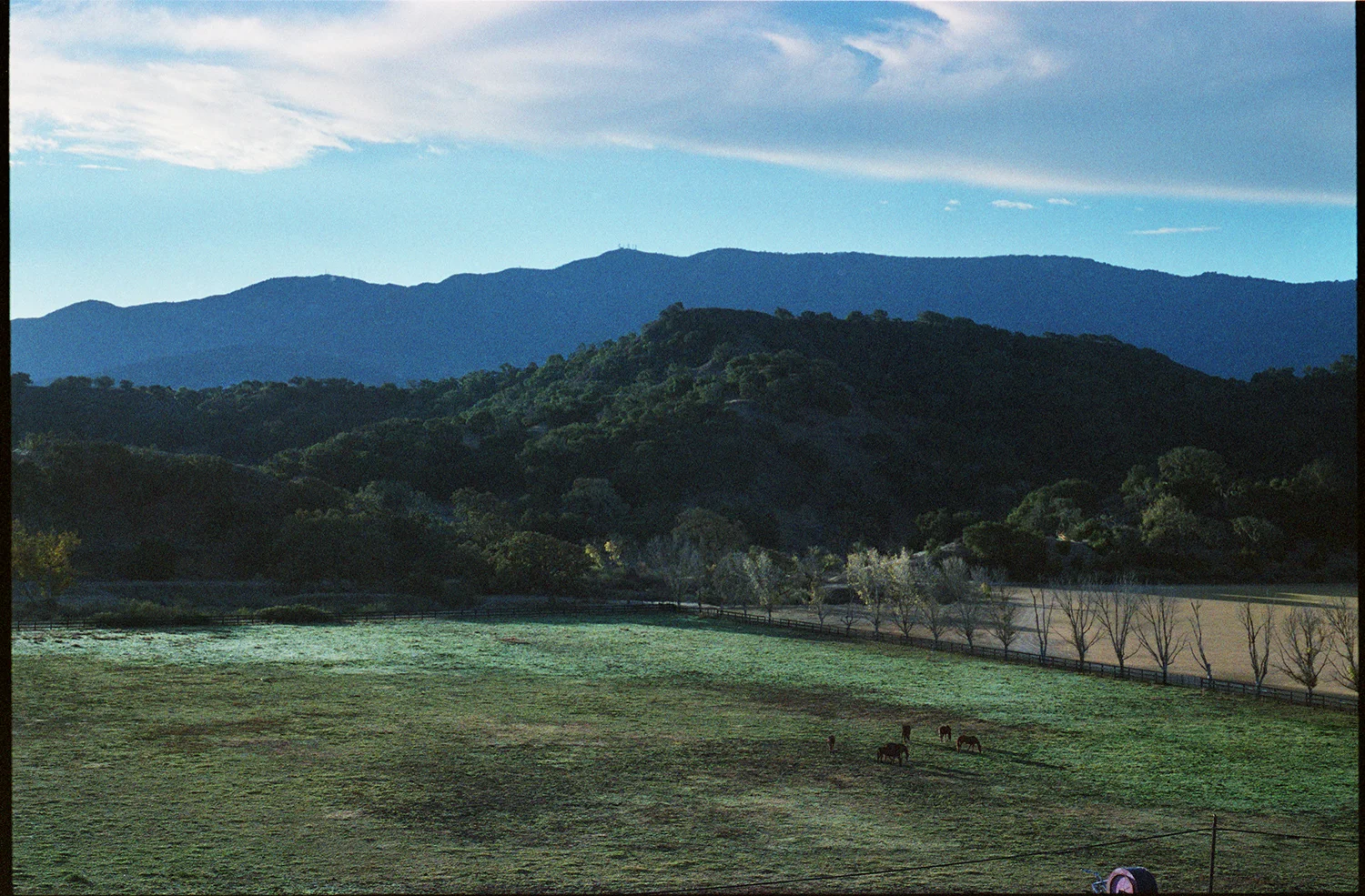 Horses_Landscape_400vc.jpg