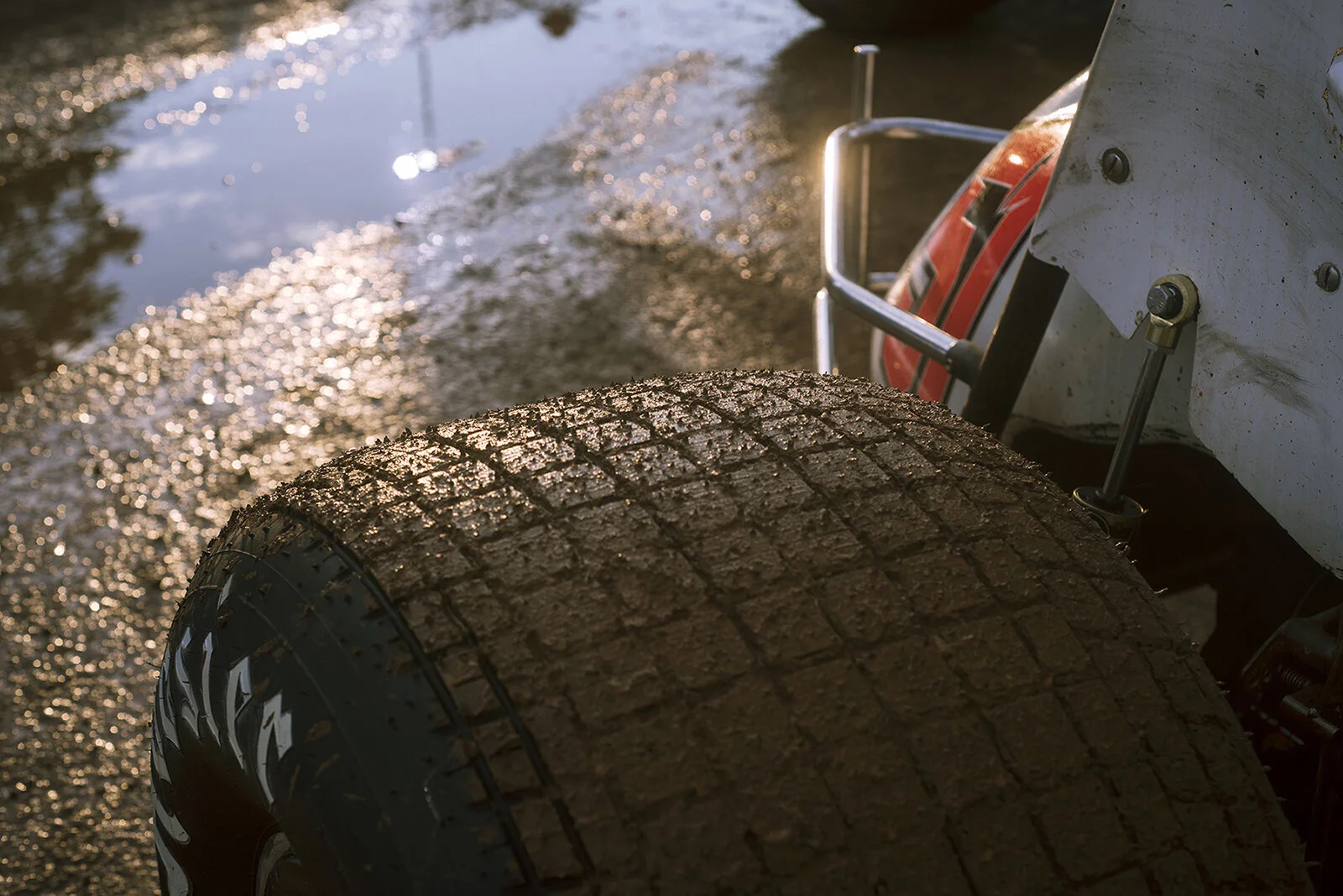 51_williamsgrove.jpg