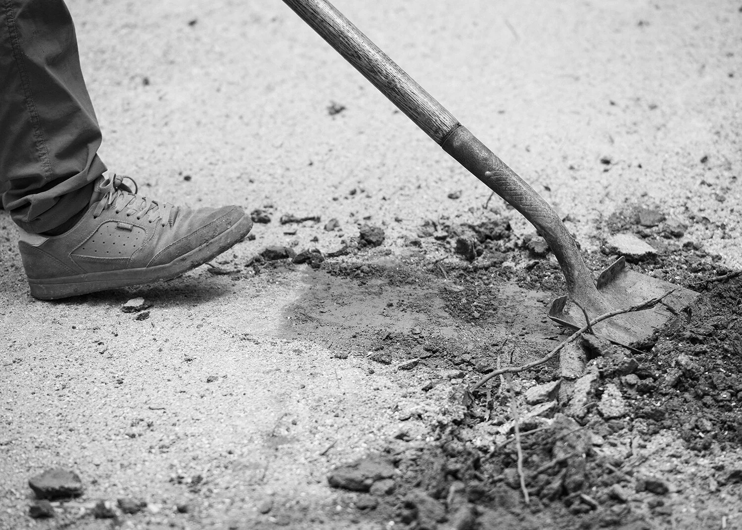 Shovel2_OharaSunFun.jpg
