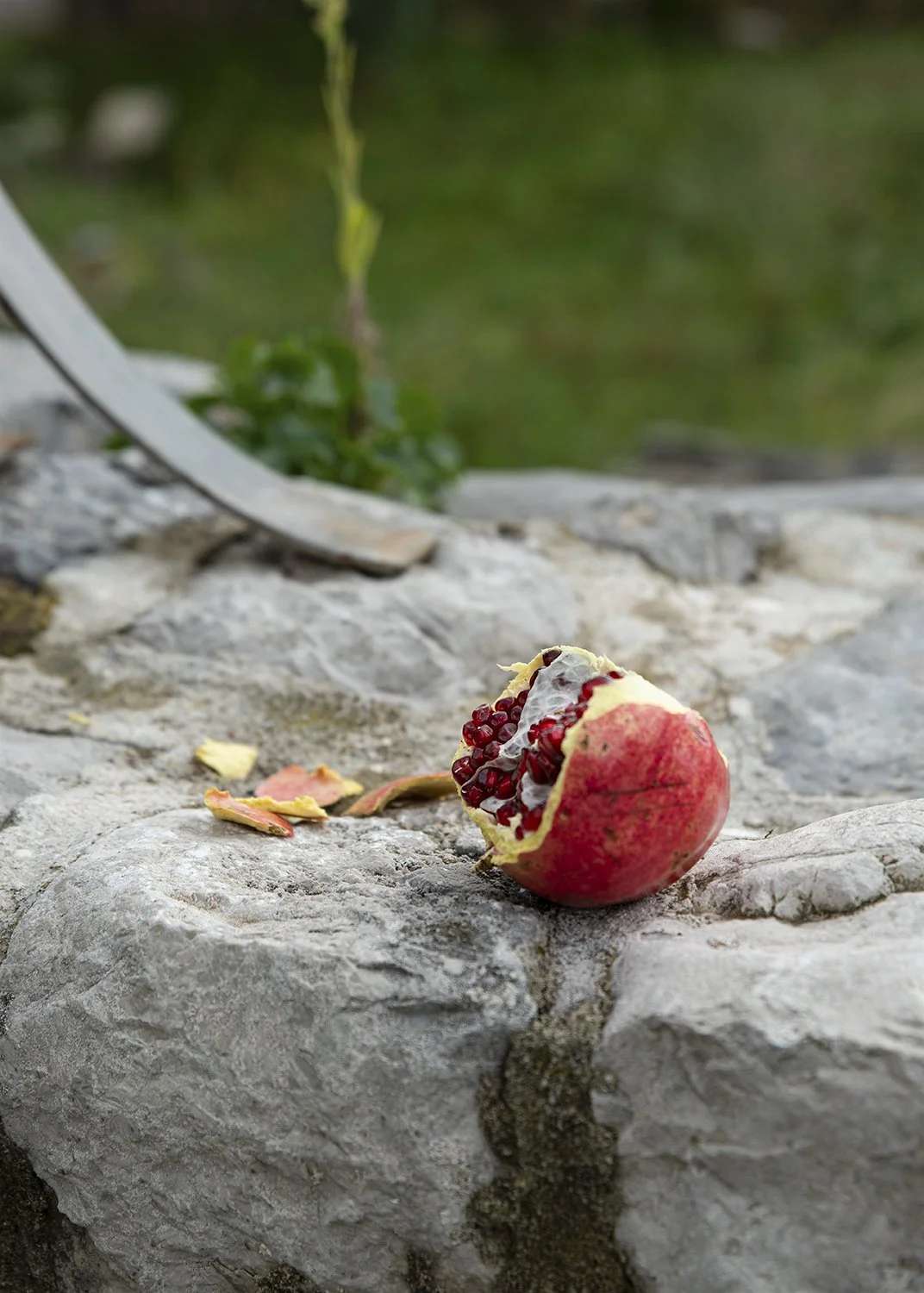 Pomegranate_Laying_Mont21.jpg