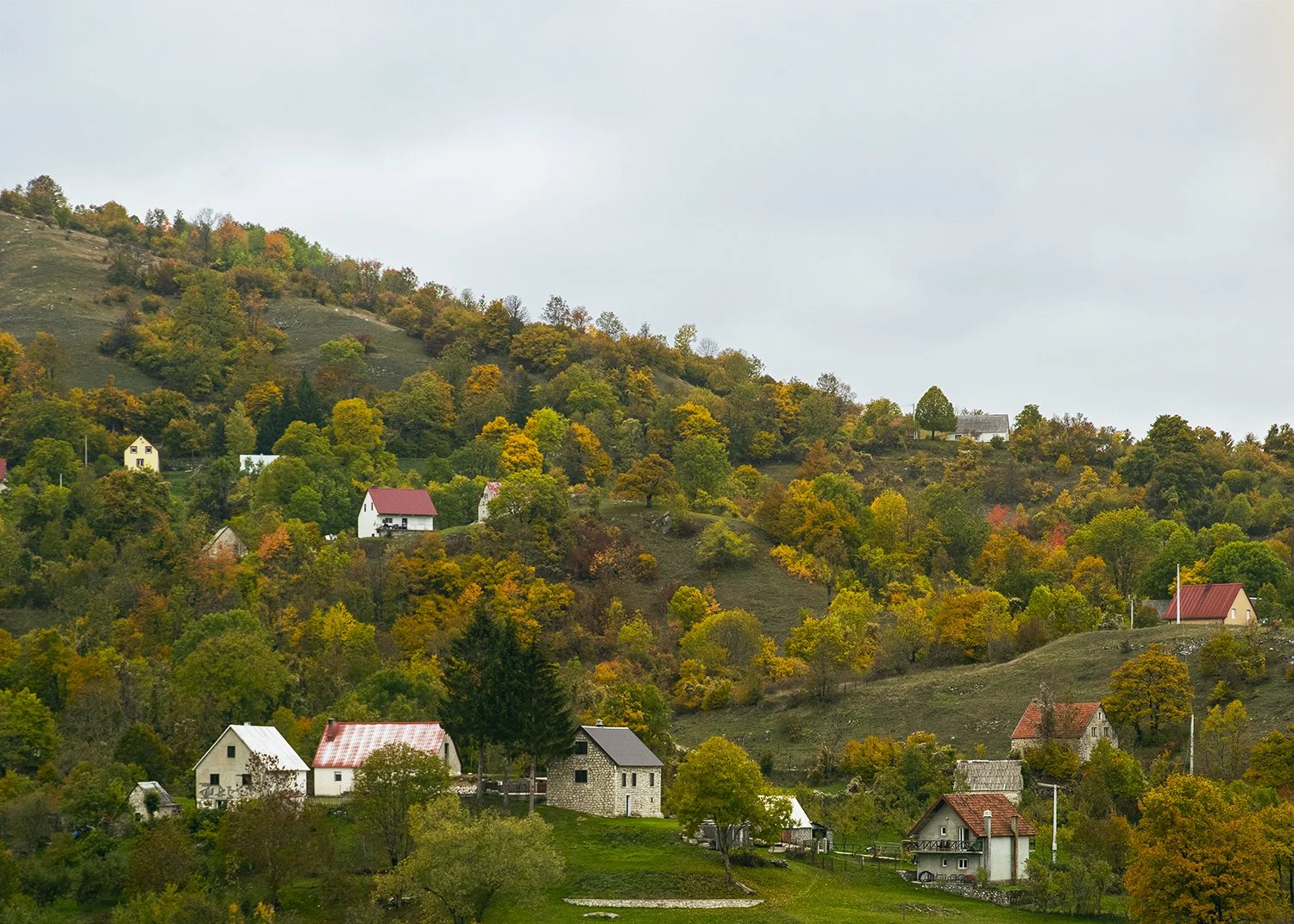 Hillside_Mont21.jpg