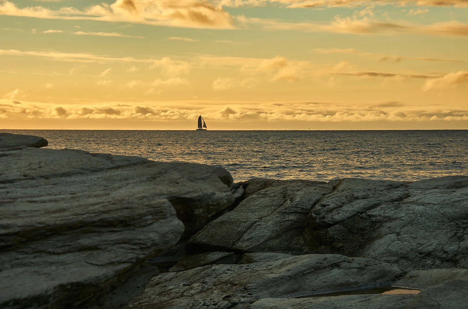 DSCF7430.jpg